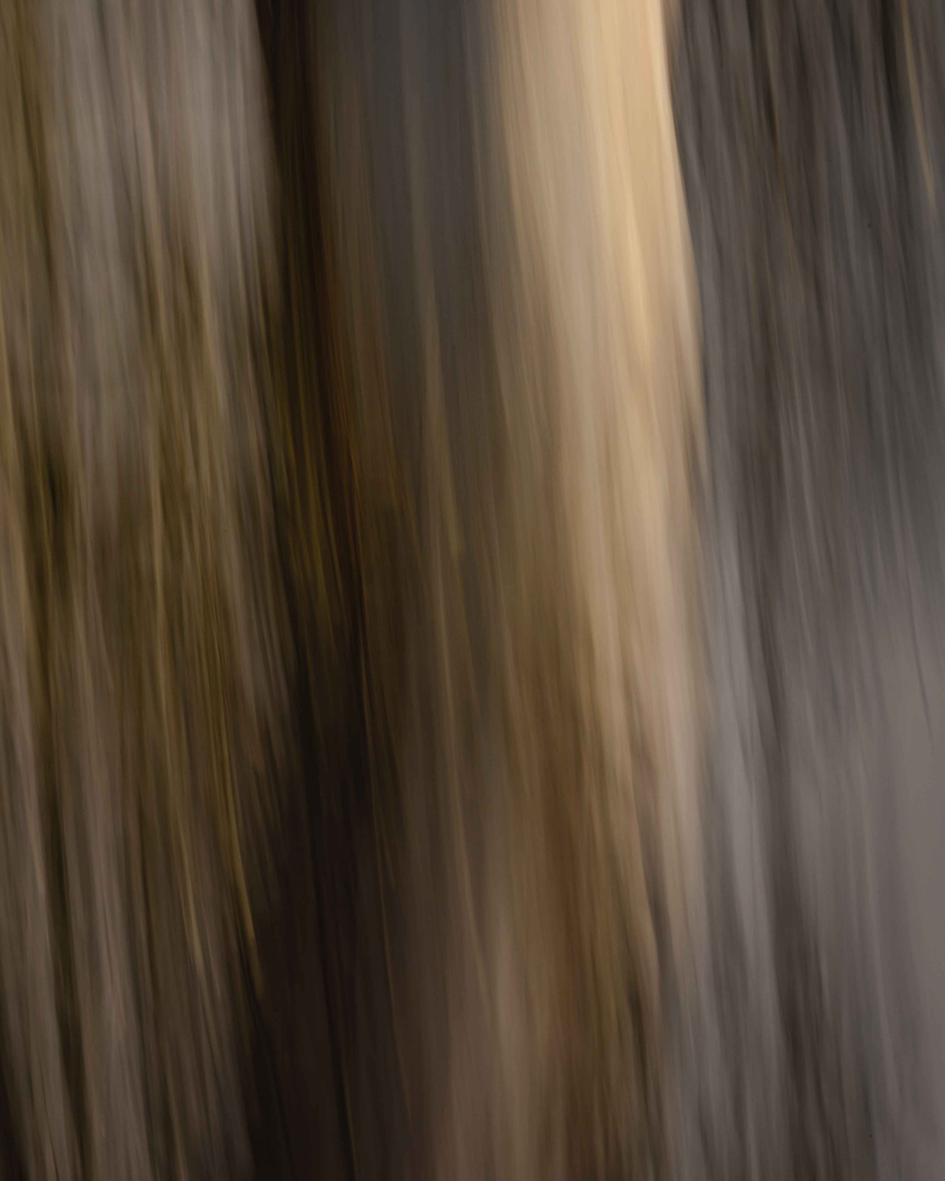 ICM and ME.
Starring Trees.
For the days when there isn’t much around.