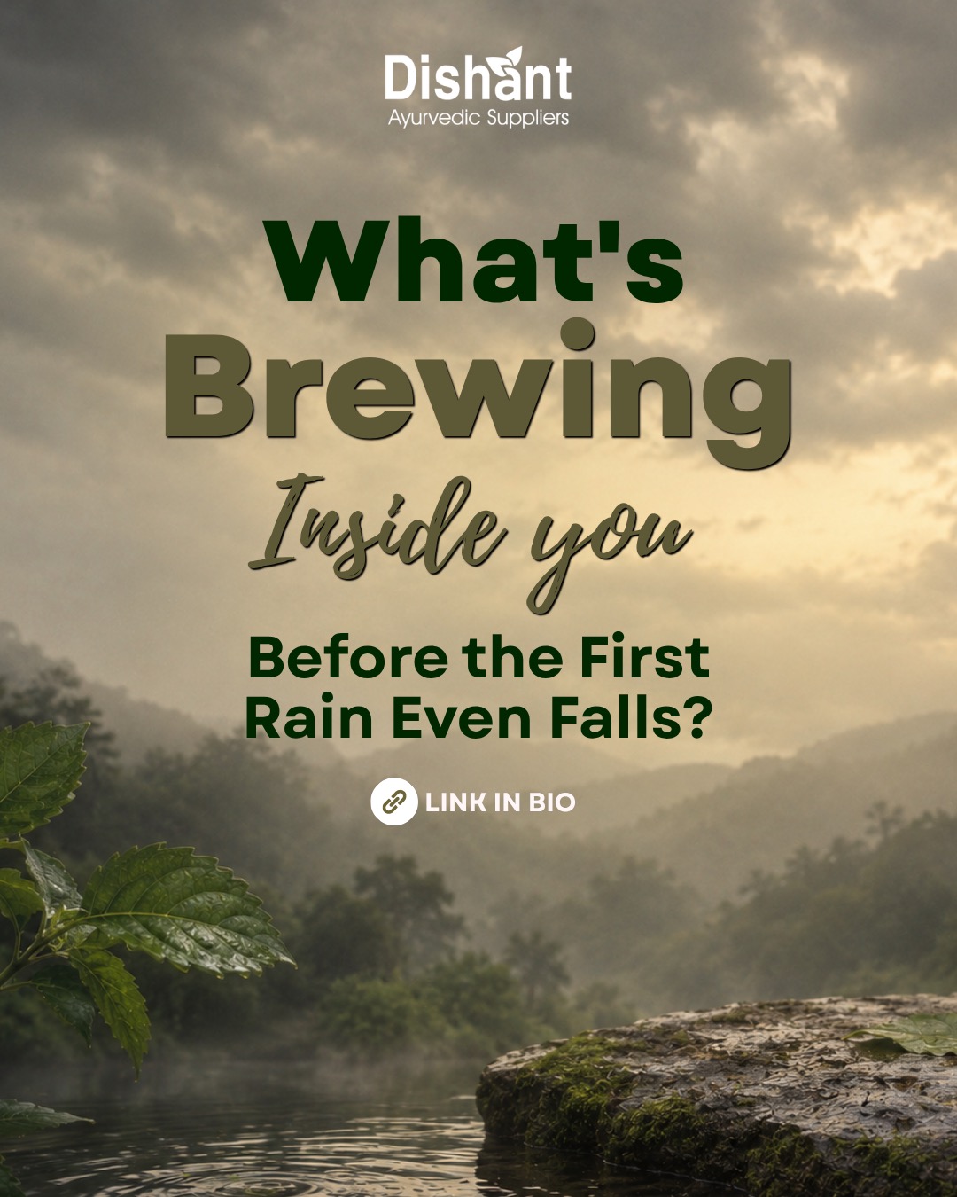 Your body started preparing for monsoon in May.
You just didn't know it yet.
The joint pain, the bloating, the anxiety that hits with the first rain — none of it is random. It's the bill for what went unaddressed in summer.
Ayurveda mapped this cycle centuries ago. We just stopped listening.
New article up — link in bio.