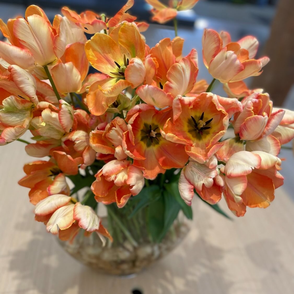 Peach Parrot Peautiful 🌷
#luxuryflowers #luxuyflorist
