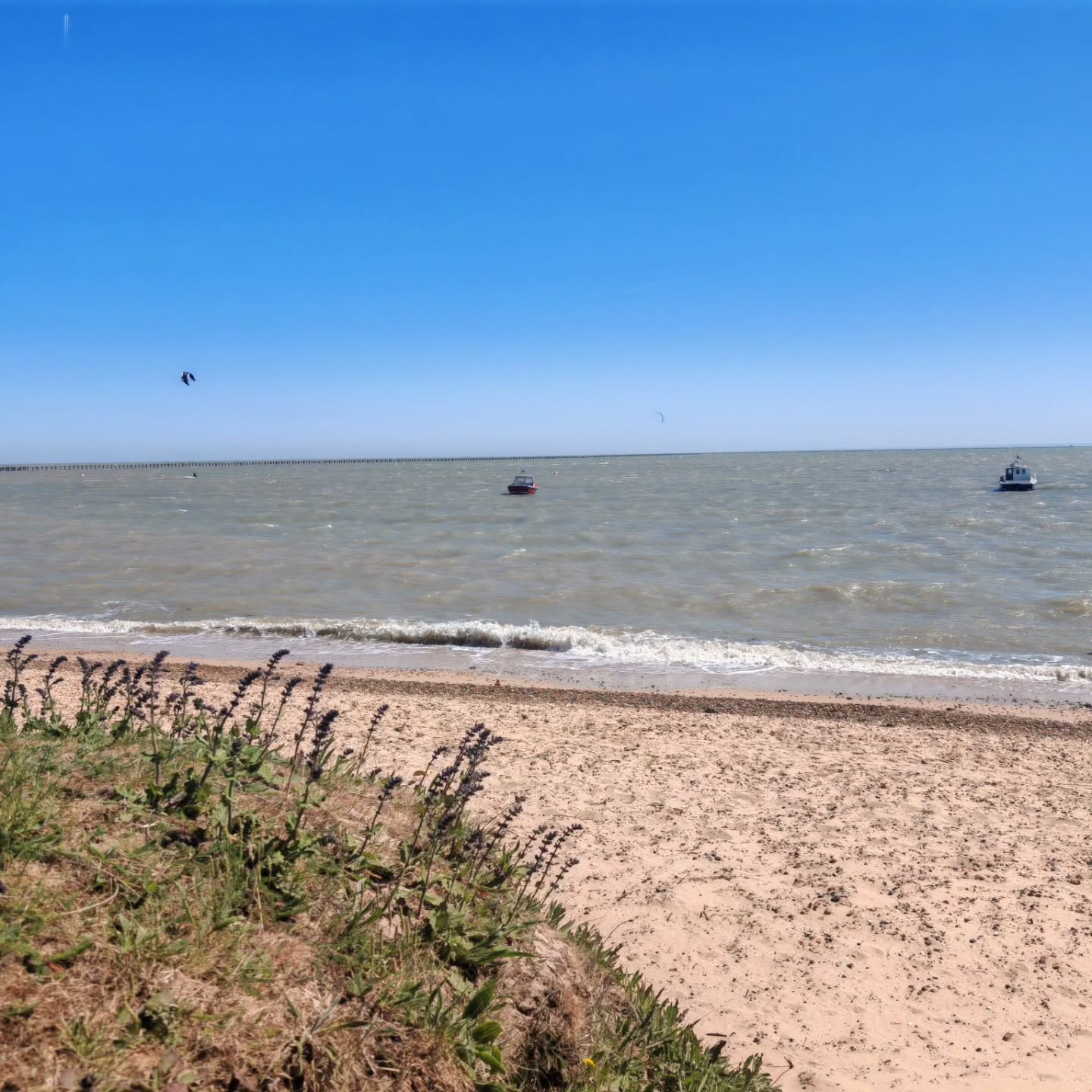 Blue skies loading... The sunnier weather is on its way! Dreaming of beach days at #shoeburyeastbeach
#visitsouthend #southendonsea #shoeburyness
