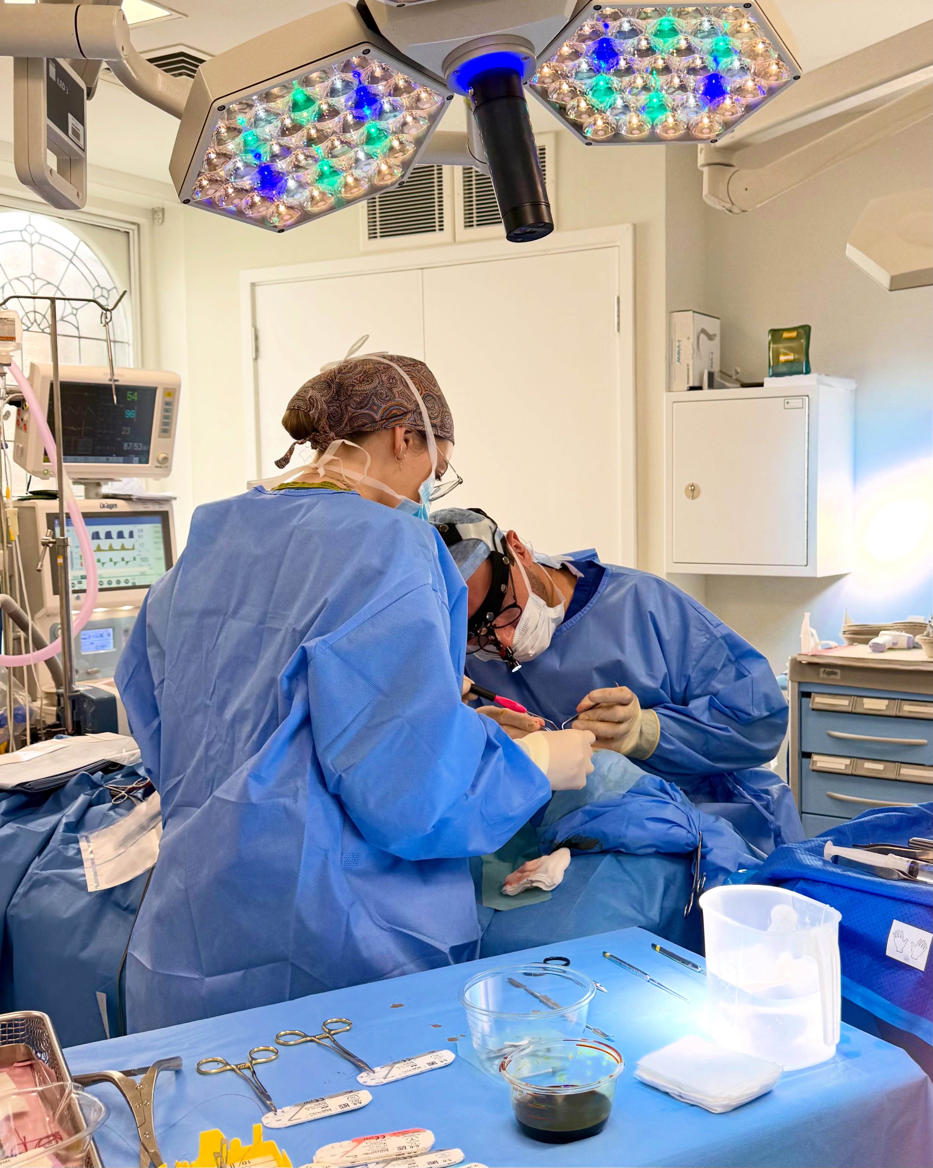 A glimpse inside our theatre today at 101 Harley Street, where Mr Arda Kucukguven is performing a complex revision rhinoplasty procedure with rib grafting.
We are proud to support leading surgeons with our state-of-the-art facilities and a dedicated clinical team, delivering exceptional standards of care for every patient. ✨
#101HarleyStreet #DaySurgery #Rhinoplasty #PatientCare #HarleyStreet
