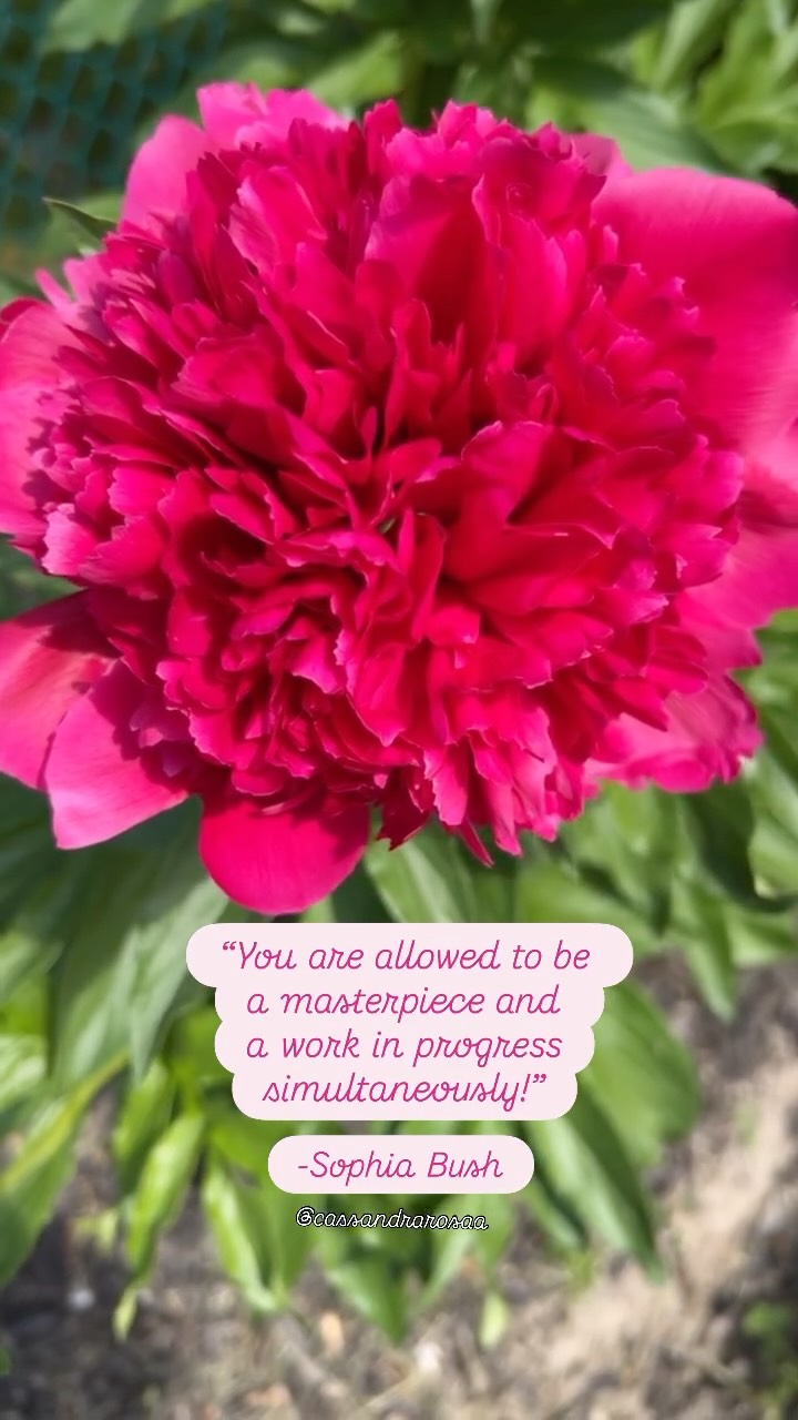 Both are true simultaneously! š
As entrepreneurs itās important to remember that who we are and what we create in our businesses is a masterpiece.
Every action we take like posting on social media, creating offers, supporting our clients, and working on ourselves is like a stroke on a canvas or tending to a beautiful flower helping it grow. šø
As we are in the process of bringing about these beautiful creations and tending to our flowers there can be things that come up along the way.
Like mistakes when creating a masterpiece or weeds that affect a flowerās growth we too have challenges that come up along the way.
Like self-doubt, imposter syndrome, fears, roadblocks, struggles and obstacles that come up in life and business itās all work in progress.
Both can be true.
Being in awe, gratitude, and appreciation of the masterpiece weāve created, the flower in full bloom, the business that we are proud of, and celebration of the person weāve become⦠ANDā¦.
Being a work in progress of working on ourselves behind the scenes, growing, healing, feeling stuck, doubting yourself, getting impatient, feeling like you are in the void, wanting the masterpiece to be finished already, and waiting for the flower to be in full bloom.
Two can be true at once! There is no need to put pressure on yourself to be perfect or be hard on yourself for facing another obstacle along the way.
Remember itās all part of the process. And to ask for support along the way.
If you are wanting support in progressing something you are navigating in life and business now DM me āSupportā to get 33% off 1-on-1 work with me until June 29th in honour of my birthday.
Iām here to help you feel more clarity and confidence on your path to impacting lives with your business. Itās a impactful masterpiece after all!
Drop a š©· if this landed for ya