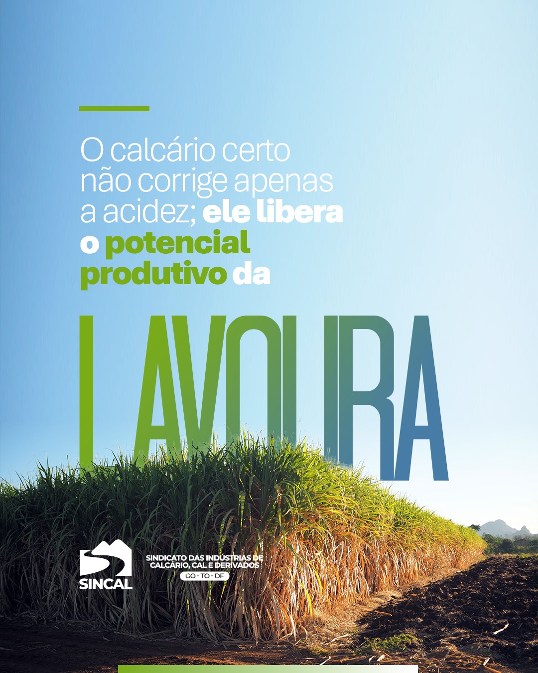 Muito além de corrigir a acidez: o calcário certo libera o potencial oculto da sua lavoura. 🌿✨
A calagem é o primeiro e mais importante passo para o sucesso do plantio. O calcário certo elimina a toxicidade do solo e abre as portas para que as plantas absorvam o máximo dos fertilizantes aplicados.
Seja na cana-de-açúcar ou em qualquer outra cultura, a escolha do corretivo de solo define o teto da sua colheita.
#CanaDeAcucar #Calagem #NutricaoDePlantas #AgroEficiente #SINCAL