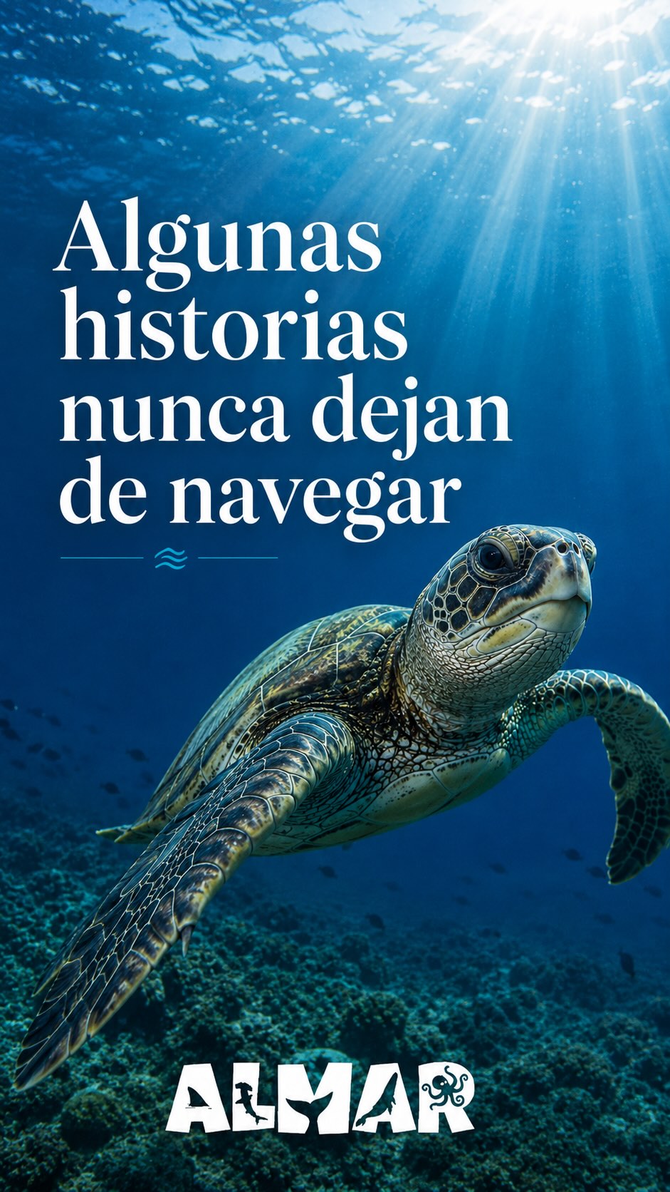 Vecinos del mar | TORTUGAS
🌊🐢🩵
Algunas historias nunca dejan de navegar.
Las tortugas marinas llevan millones de años recorriendo los océanos, guiadas por corrientes invisibles y regresando una y otra vez a los lugares donde comenzó su historia.
Cada encuentro con una de ellas es un recordatorio de la belleza, el misterio y la extraordinaria vida que habita bajo la superficie.
Hoy queremos celebrar a una de las grandes viajeras de nuestro planeta.
Esta publicación inaugura VECINOS DEL MAR, una serie de ALMAR dedicada a descubrir algunas de las criaturas que comparten el océano con nosotros y a recordar por qué vale la pena proteger el mundo marino.
#tortugasmarinas