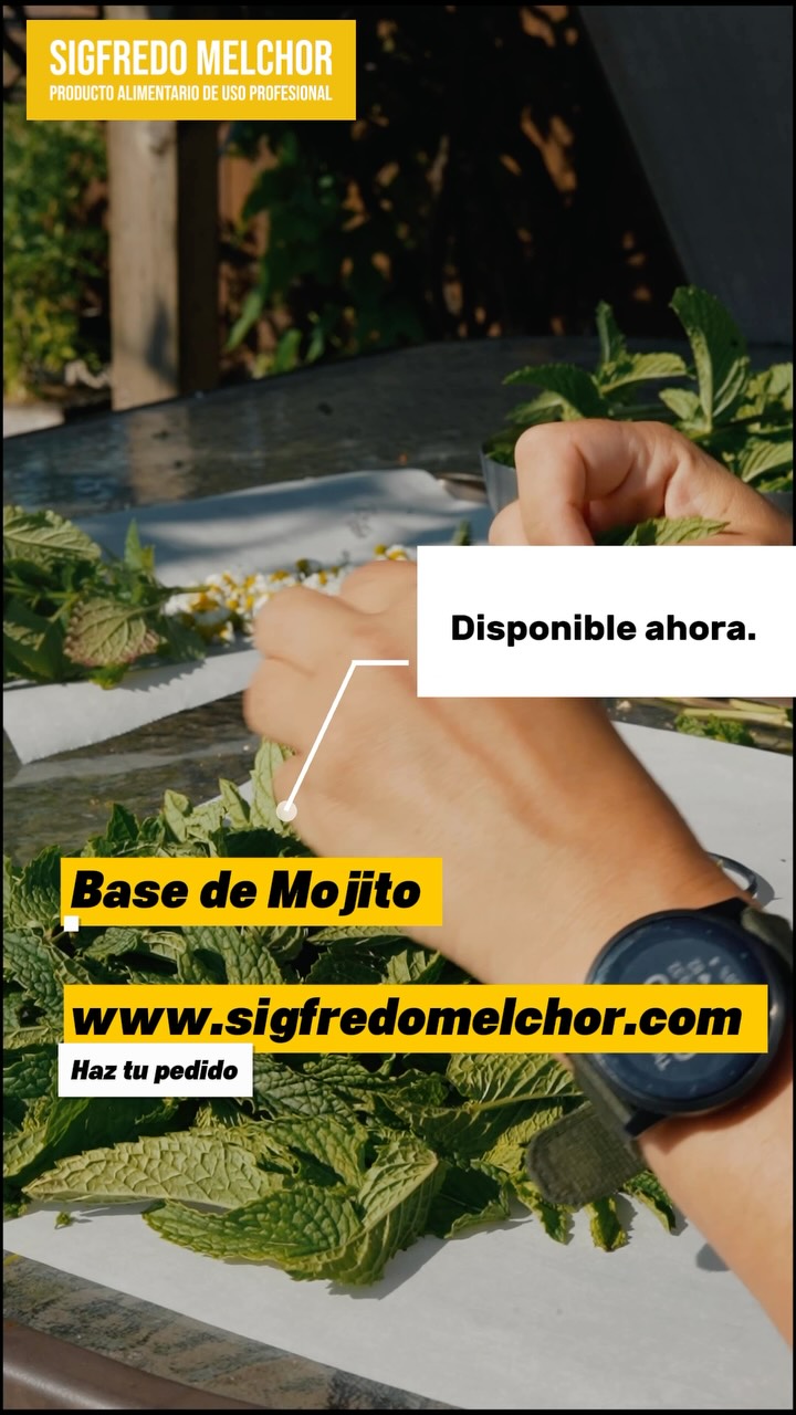 ☀️ El verano ya está aquí y los mojitos también.
Prepara el cóctel más refrescante en segundos con nuestra Base de Mojito. @newconceptbartenerife
🍋 Fresco
🌿 Refrescante
🧊 Fácil de preparar
¿Con quién te tomarías el primero?
#Verano #Mojito #Coctelería #Cocktails #SummerVibes MojitoTime Hostelería BebidasRefrescantes