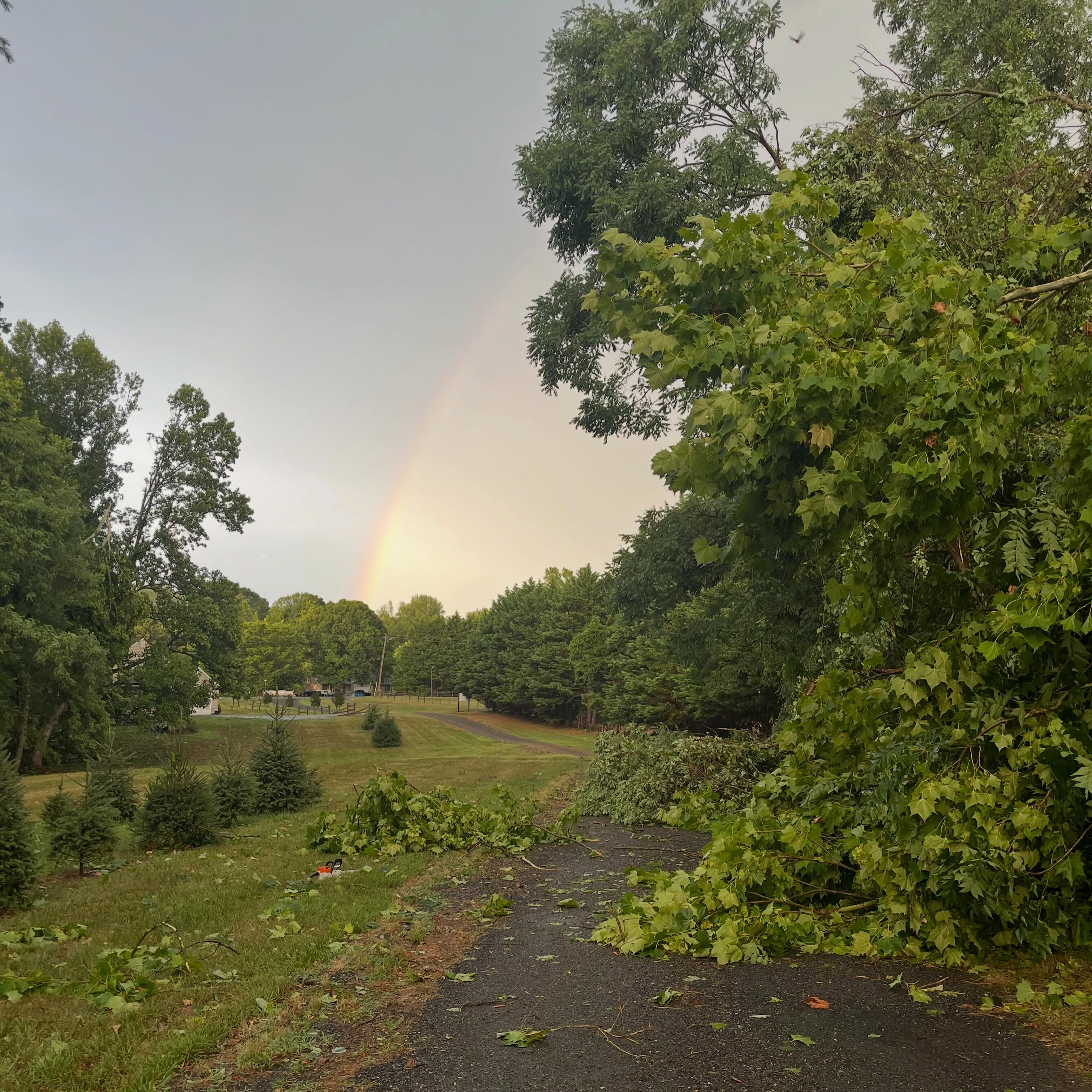 Southern Maryland - we hope everyone is okay! ⛈️ We finally got some rain after every storm tends to skip the farm but it came with extremely high winds! We got our work cut out for ourselves cleaning up! Thankfully we are all okay and we got a beautiful rainbow at the end of it! 🌈
