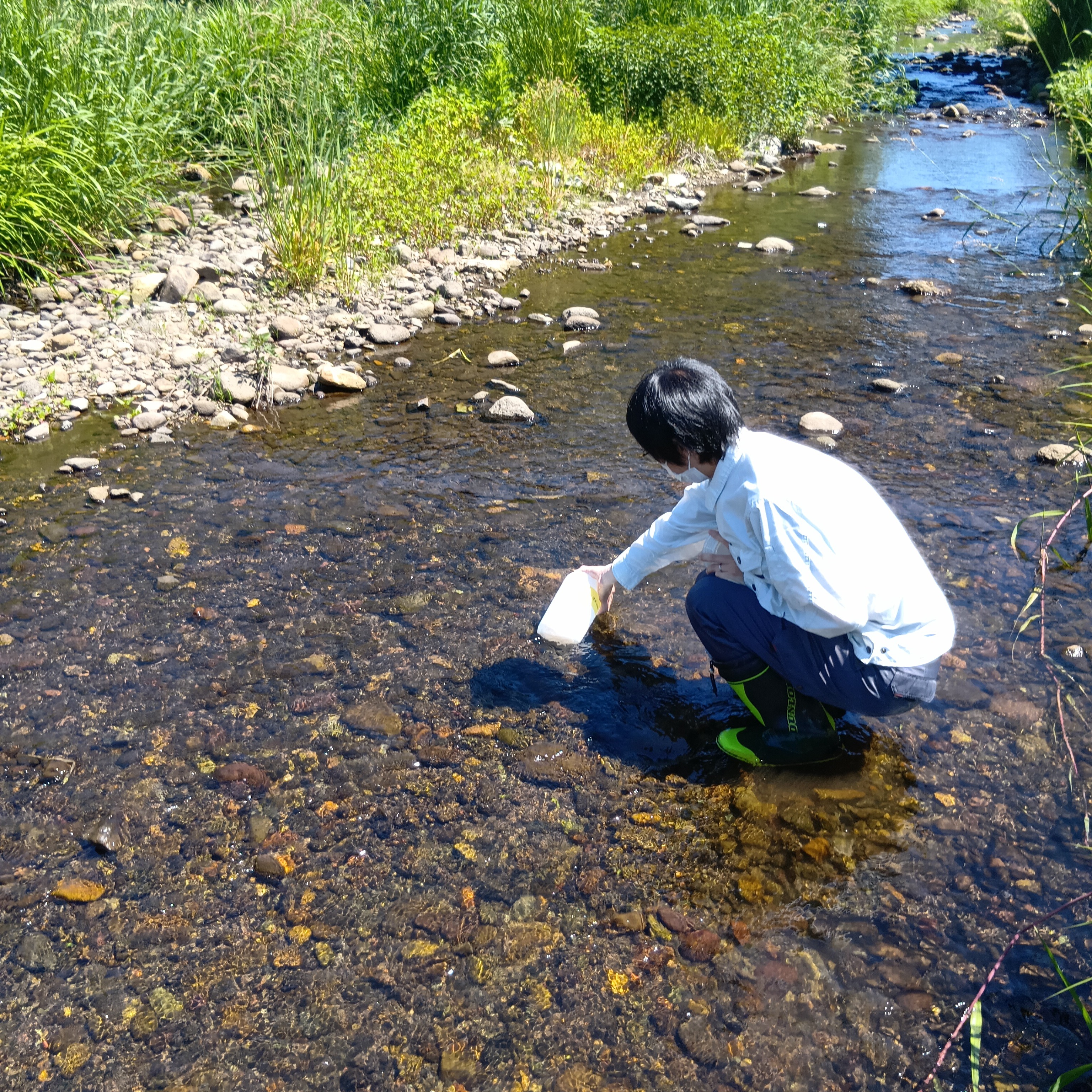 美しい山形・最上川フォーラム様の「身近な川や水辺の健康診断」に参加しました。
市内の河川でpH、COD、窒素などをパックテストを用いて調査を行います。
そして一番盛り上がる水生生物調査。
童心にかえって虫探しをします。
大きなトビケラを確認!
種類と数を記録して、リリースします。
#水質調査
#水生生物調査