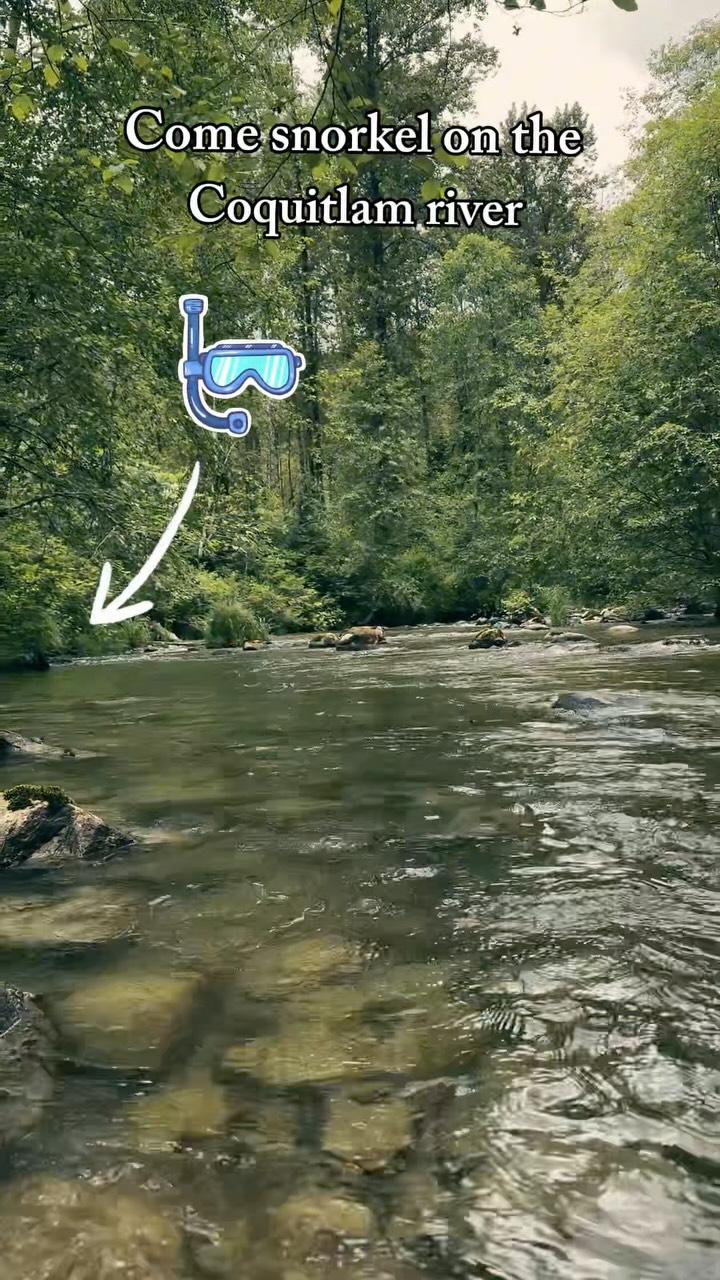 The Nicola team went out to the Coquitlam river to dust off the snorkel rust after a long winter of computer work.
Snorkel surveys like these help us answer basic, but very important, ecological questions like where are fish, how many are there and what different species are present? Because we are just observing, this is a minimally invasive way to get a lot of valuable information.
While this trip was only practice, it is a crucial step for our team to make sure the data accurately represents the ecology.
