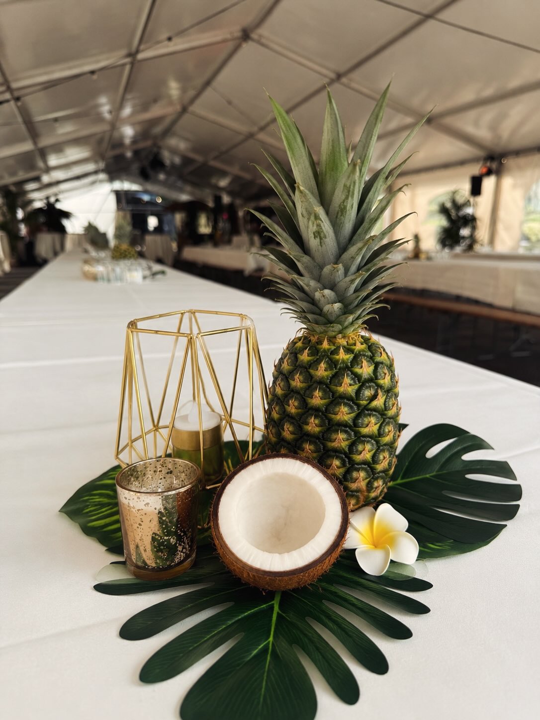 🌴✨ Tropical Night ✨🌴
Für diesen Grossauftrag durfte ich eine Firmenveranstaltung ganz unter dem Motto Tropical Night mitgestalten. 🌺🍍🌿
Ich liebe es, aus einer Idee ein stimmiges Gesamtkonzept zu entwickeln und eine Location in eine ganz besondere Erlebniswelt zu verwandeln.
Natürliche Materialien, tropische Elemente, Neon-Highlights und ganz viel Liebe zum Detail sorgten für echtes Ferienfeeling. ☀️🍍🥥🍹
Vielen Dank für das Vertrauen – genau solche kreativen Projekte machen meinen Beruf so besonders. 🤍
Mitgewirkt haben:
🍍 @gluecksmomente.li – Konzept & Dekoration
🌴 @gaertnerei_elsensohn – Tropische Pflanzen
📍 @esswerk.essen.feiern #– Location
🍹 @ospelt.catering – Catering
🍦 @eisbar.li - Eisbar
🎶 @stylemusic_9490 - Musik / DJ
📸 @photowall.li – Fotobox
🎤 @lehnerakustik - Eventtechnik
#tropicalnight #firmenevent #eventdesign #eventstyling eventdekoration corporateevent gluecksmomente tropicalvibes eventplanner sommerfeeling eventinspiration liechtenstein schweiz dekoliebe firmenfeier
