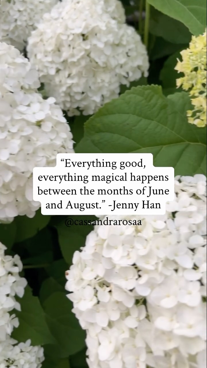 I couldnāt agree more with this quote!
I am a summer girl through and through. āļø
The sunshine, moments at the beach, social events, reading a good book, being out in nature! I love it all!
As this new month commences, itās a good time to have some time for reflection!
To look at everything good and magical happening in our lives!
Sometimes in the busyness of summer, life and business we donāt take the time to acknowledge the good and magic in our lives.
Especially when we are in the process of seeking more, our default can be to focus on whatās missing in our lives rather than the best thatās happening right now.
āØSo what is the good happening in your life right now?
āØWhat magical things are unfolding in your business right now?
āØAnd how can you choose to embrace the good and magical things summer can offer you?
Let us know šš¼ and celebrate others for their wins too!