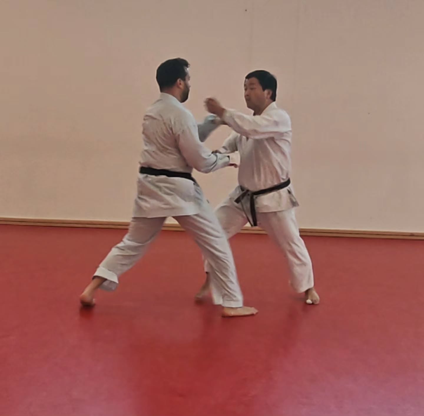 Training im Dojo Yamato Düsseldorf e.V.🥋
Trainer Keigo Shimizu 🇯🇵