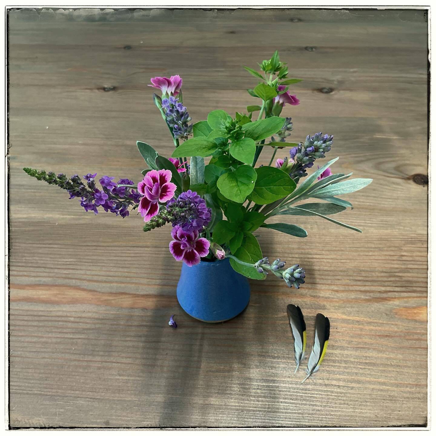 🌿Tiny jug of tiny flowers (and marjoram for leafiness).
Partnered with two perfect greenfinch feathers found on the garden path.
Very little else was left - a sparrow hawk’s dinner, alas.
#gardengleanings
#tinytriumphs
#greenfinches 🌿Tiny jug of tiny flowers (and marjoram for leafiness).
Partnered with two perfect greenfinch feathers found on the garden path.
Very little else was left - a sparrow hawk’s dinner, alas.
#gardengleanings
#tinytriumphs
#greenfinches