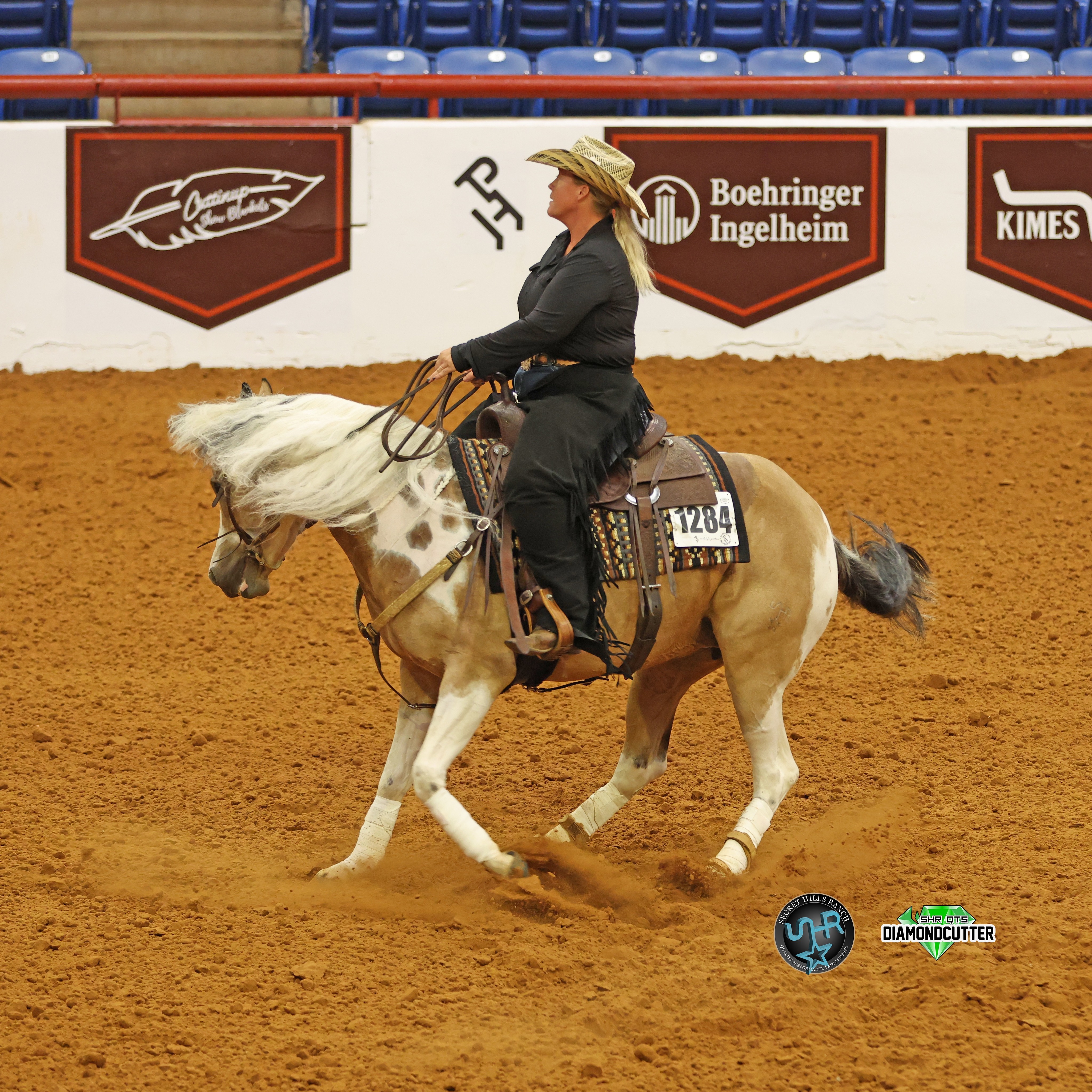 ✨ Junior Cow Horse Finalist! ✨
What an incredible World Show it has been for SHR Cookie Cutter “Arya” and Kaity Sotomayor!
Arya, proudly sired by SHR QTs DiamondCutter, added yet another incredible accomplishment to an already unforgettable World Show by earning Junior Cow Horse Finalist honors.
The level of competition this year has been nothing short of exceptional. With some of the deepest classes we’ve ever seen, every finalist position is hard-earned and worth celebrating.
We couldn’t be more proud of Kaity for showcasing Arya’s talent, heart, and versatility on the biggest stage. Congratulations on another amazing accomplishment—we’re so excited to see what the future holds for this special team! ❤️🖤
#SecretHillsRanch #SHRQTsDiamondCutter #APHAWorldShow #JuniorCowhorse