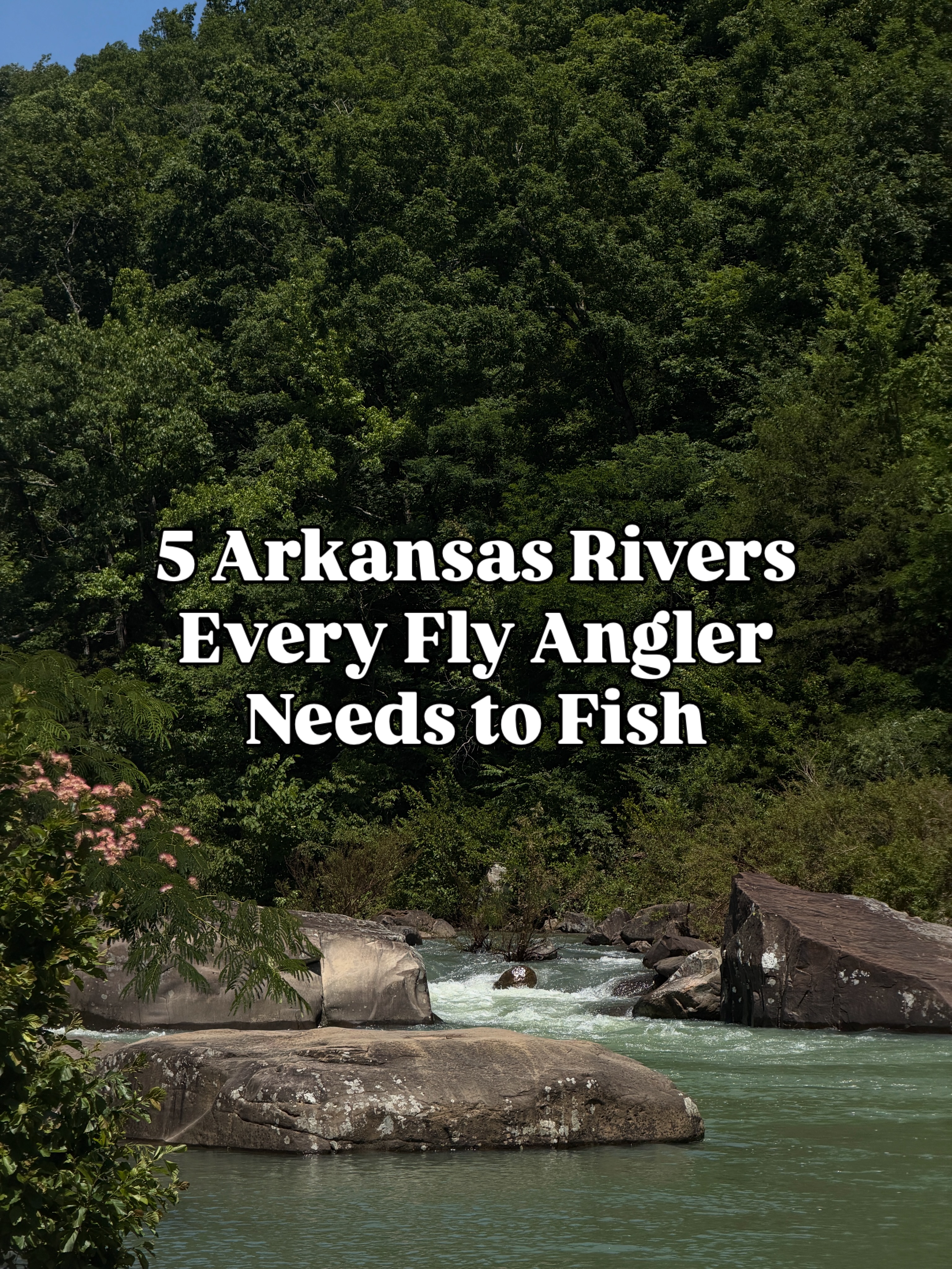 5 Arkansas rivers every fly angler needs to fish
1. White River
2. Little Red River
3. Buffalo National River
4. Caddo River
5. Spring River
Which one is your favorite? Or which do you want to visit first?
#fernwehflyco #arkansas #flyfishing #flyfisharkansas