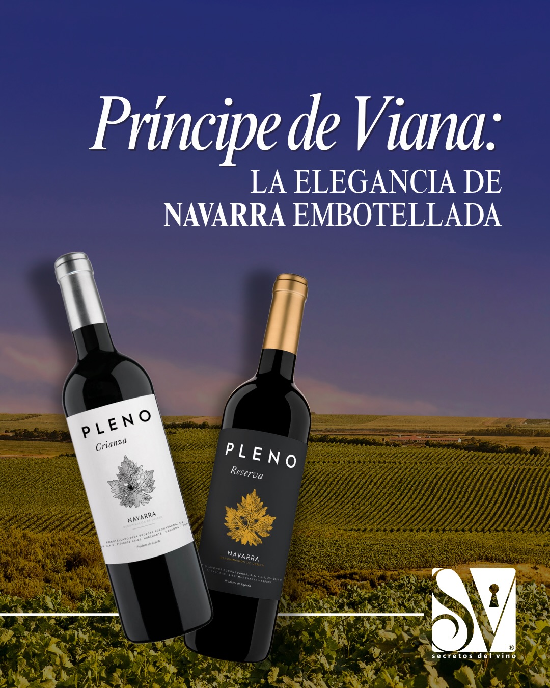 Navarra tiene mucho que contar, y Príncipe de Viana es una de sus expresiones más representativas.
Esta semana recibimos la visita del representante de la bodega para compartir su historia, filosofía y pasión por el vino.
Desliza y descubre por qué esta bodega forma parte de nuestra selección.
…
#PrincipeDeViana #Navarra #VinoEspañol #WineLifestyle #DescubreElSecreto