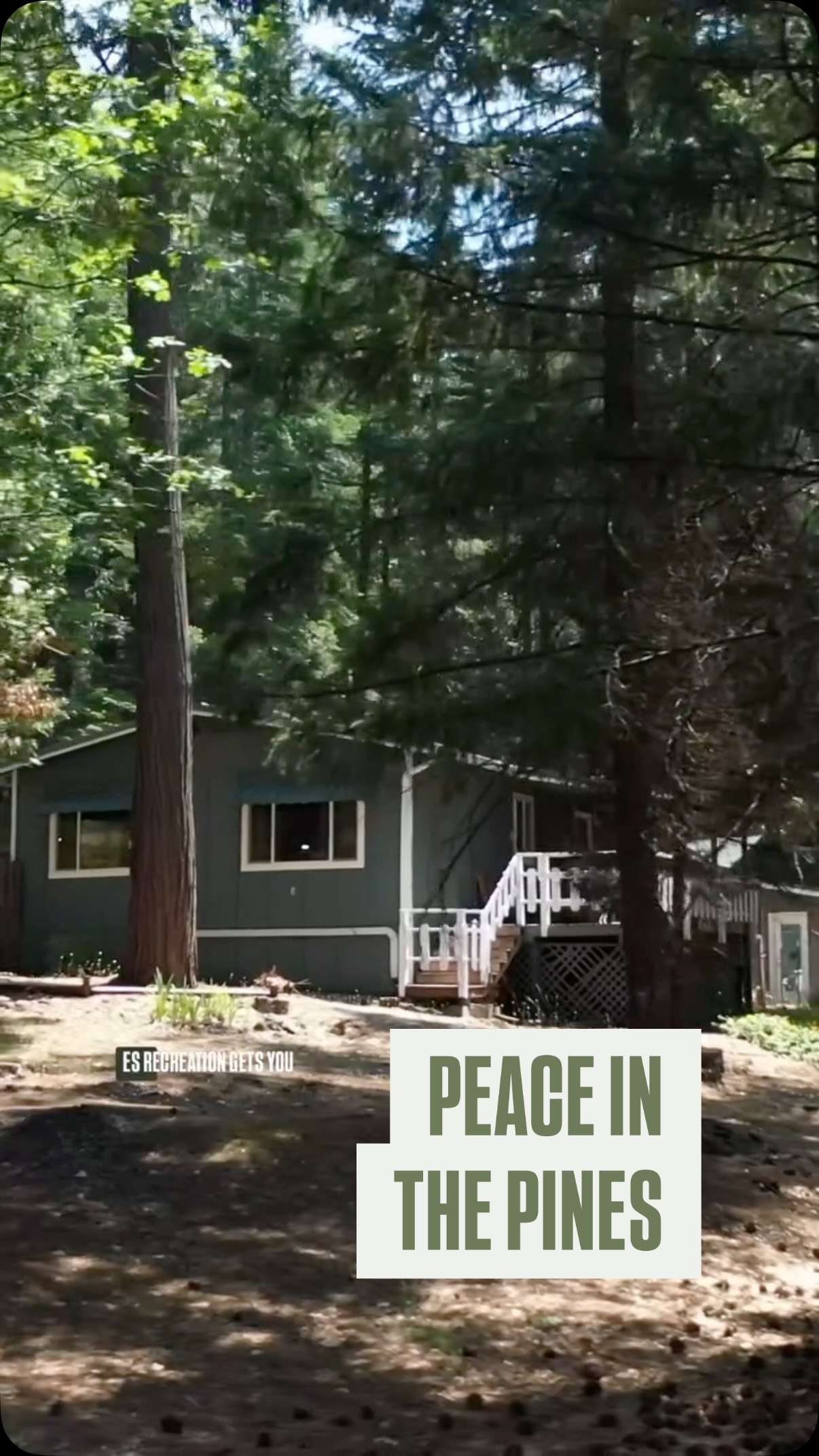 Under $200,000 and just minutes from Lassen? 🌲🤯
Opportunities like this are getting harder and harder to find in Northern California.
Nestled in Shasta Forest Village, this charming 2 bed, 2 bath mountain retreat is surrounded by towering trees, peaceful forest views, and endless outdoor recreation. Whether you’re looking for a vacation home near Lassen National Park, a weekend getaway, or a full-time escape from the city, this property delivers.
✨ 2 Bedrooms | 2 Bathrooms
✨ Separate he/she shed with potential for additional living space, studio, office, or hobby room
✨ Gorgeous forest setting
✨ Close to hiking, fishing, camping, snow sports, and outdoor recreation
✨ Minutes from Lassen National Park
✨ Under $200K
This is the kind of place where mornings start with coffee among the pines and weekends are spent exploring some of Northern California’s most beautiful outdoor destinations.
If you’ve been searching for an affordable cabin in California, mountain home near Lassen National Park, vacation property in Northern California, or a forest retreat with guest space potential, this one deserves a closer look.
Interested in a private tour?
Call or text Katie Luther at 530-209-1649
Homes. Farms. Ranches.
EXP Realty DRE# 01821668
mailto:Katie@katieluther.com
www.shastacountyrealtor.com
Tag a friend who would spend every weekend here.
Shasta Forest Village homes for sale, Lassen National Park homes, mountain cabin California, affordable cabin for sale California, vacation home Northern California, forest retreat California, homes under 200k California, Shingletown real estate, cabin near hiking trails, second home California
#ShastaForestVillage #ShingletownCA #LassenNationalPark #NorthernCaliforniaHomes CabinLife MountainRetreat VacationHome AffordableHomes HomesUnder200K NorCalLiving ForestCabin OutdoorLifestyle CaliforniaRealEstate WeekendGetaway HouseHuntersCA