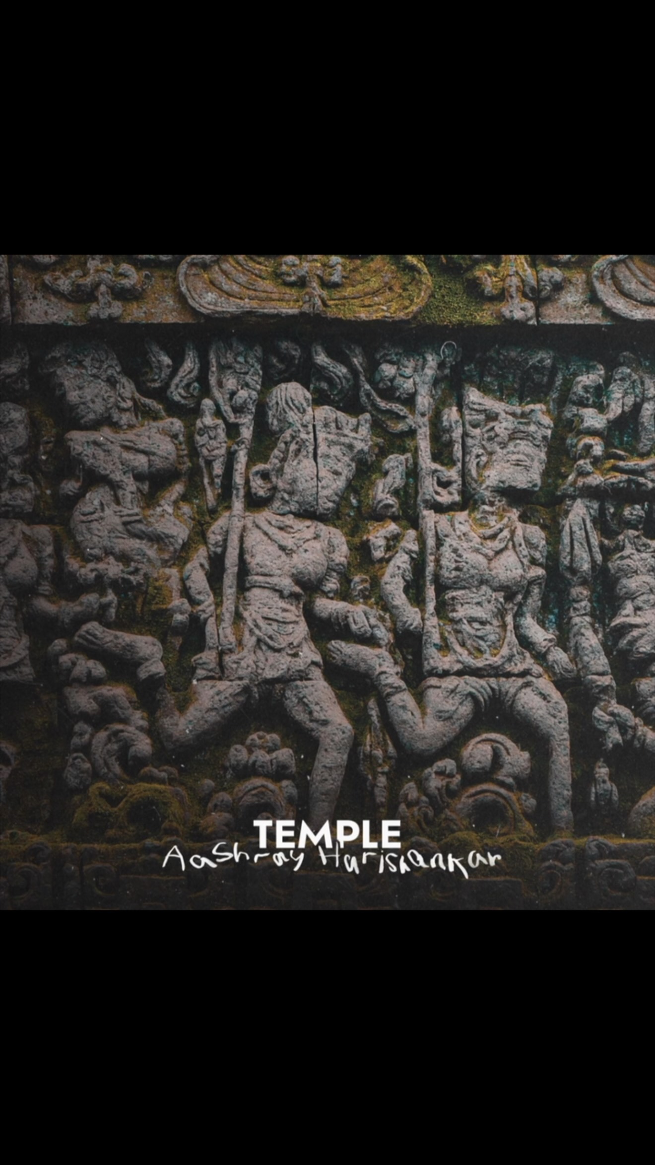 TEMPLE 🎵
New single is out in the world, with veena by @s_kavichelvan and tabla by Dani Ekbote! Comes with a b-side “Nadi ki Kinaare” as well. Check out both tracks on all streaming services!