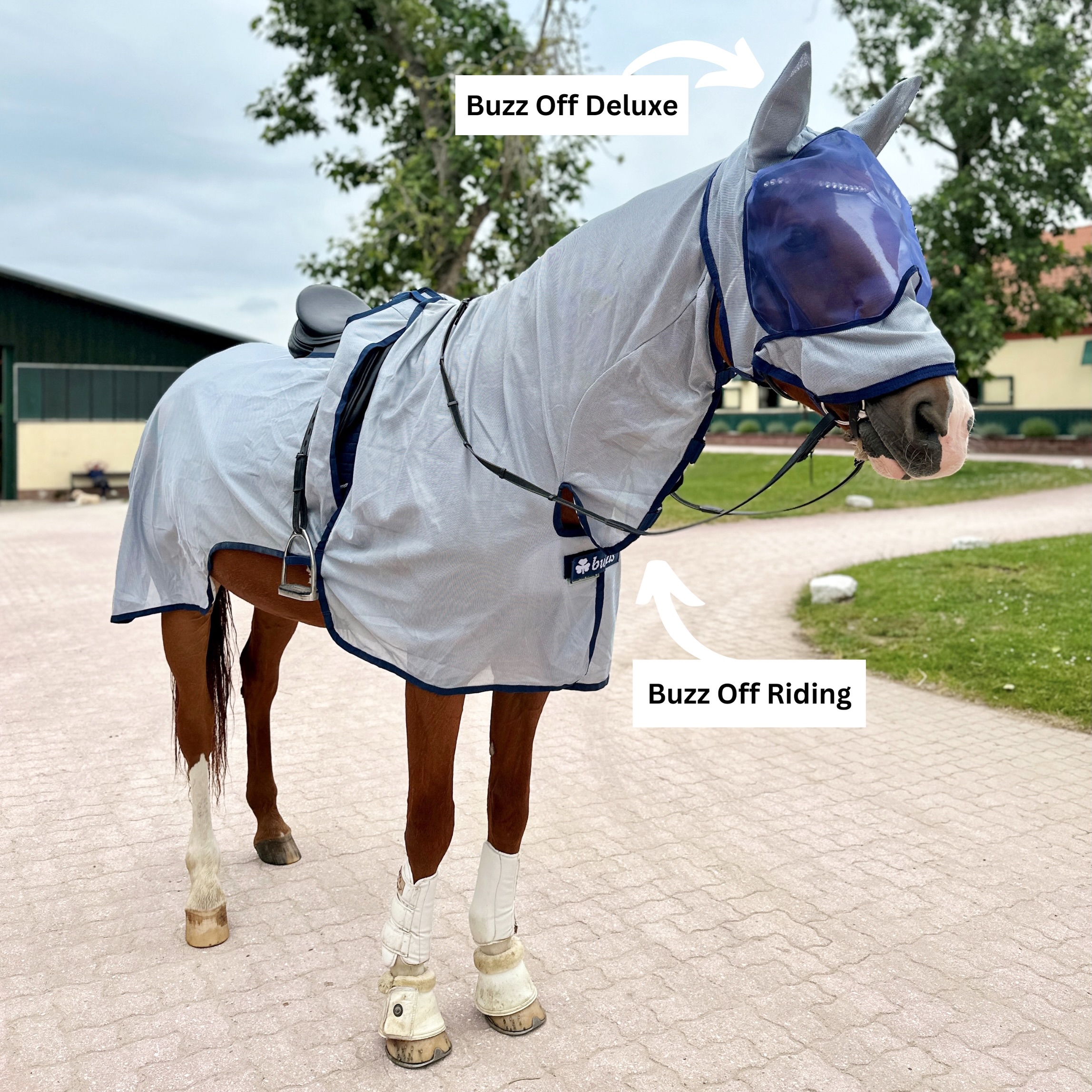 Entspannte Ausritte trotz Insektenplage mit der BUZZ-OFF DELUXE Fliegenmaske und der BUZZ-OFF RIDING Fliegendecke von @bucas_official 🦟🌾
#bucas #buzzoff #fliegendecke #fliegenmaske #insektenschutz