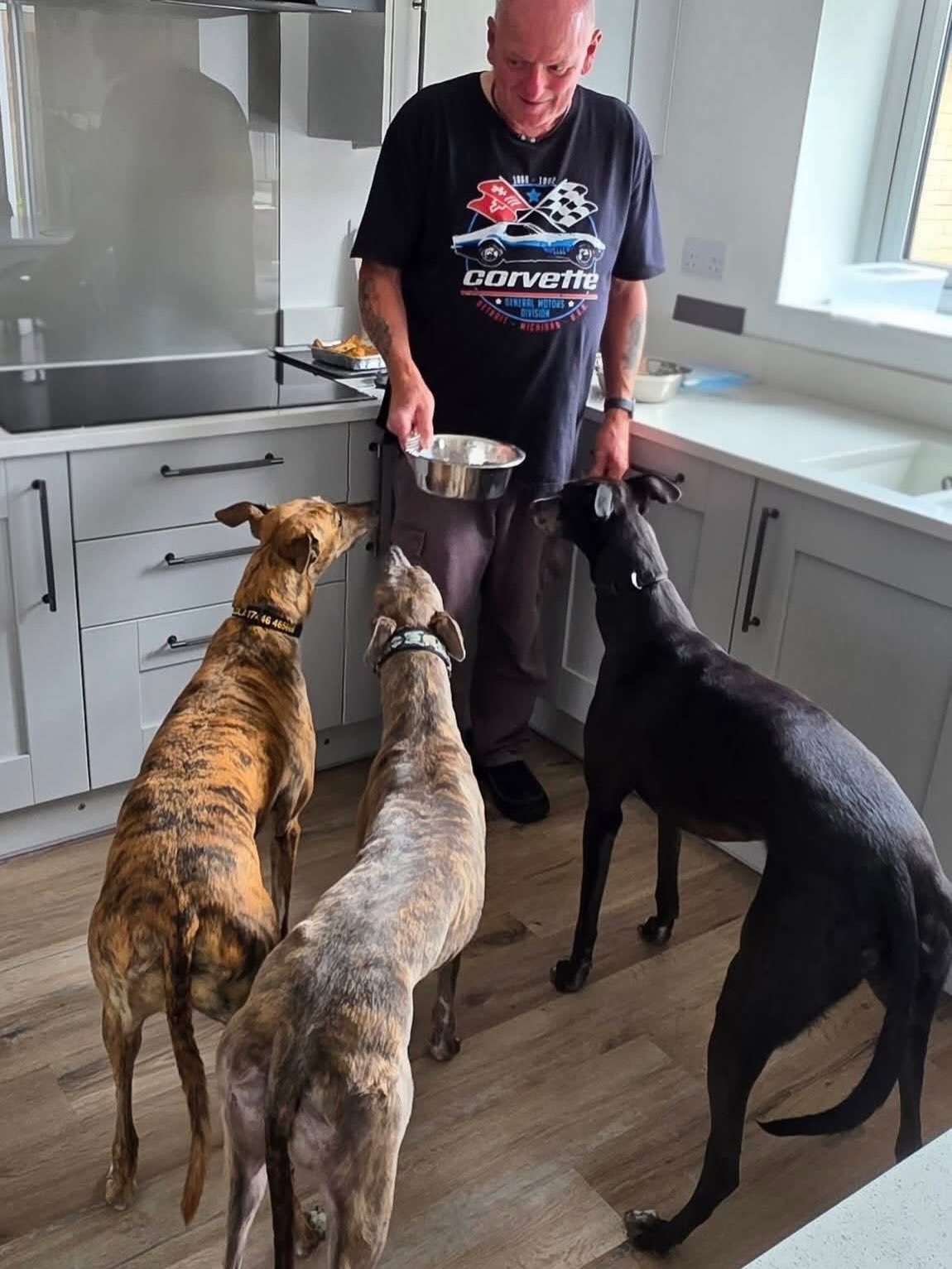 A week ago today, we adopted this beautiful little dinky dot, Gracie (Bramble Lady).
John was adamant that we weren’t going to adopt a third greyhound until Gracie set her eyes on him and melted his heart 😍 ... and that was that!
Gracie has settled in really well and loves her big sister and brother, Lola and Finley, who are both showing her the ropes. Her confidence is growing by the day and I get a sneaky feeling that she’s going to be a proper little bossy boots in no time 🤣🤣
Thank you Northumberland Greyhound Rescue ♥️♥️
#adoptagreyhound #greyhoundgang #greyhoundlove #greyhoundlife #greyhoundsmakegreatpets