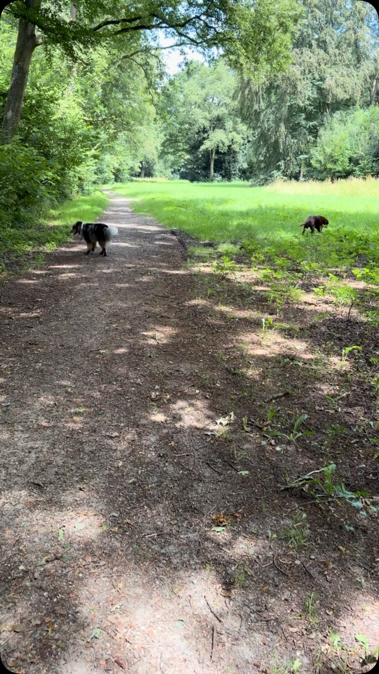 Perfect wandelweertje op de vrijdagmiddag π₯³π