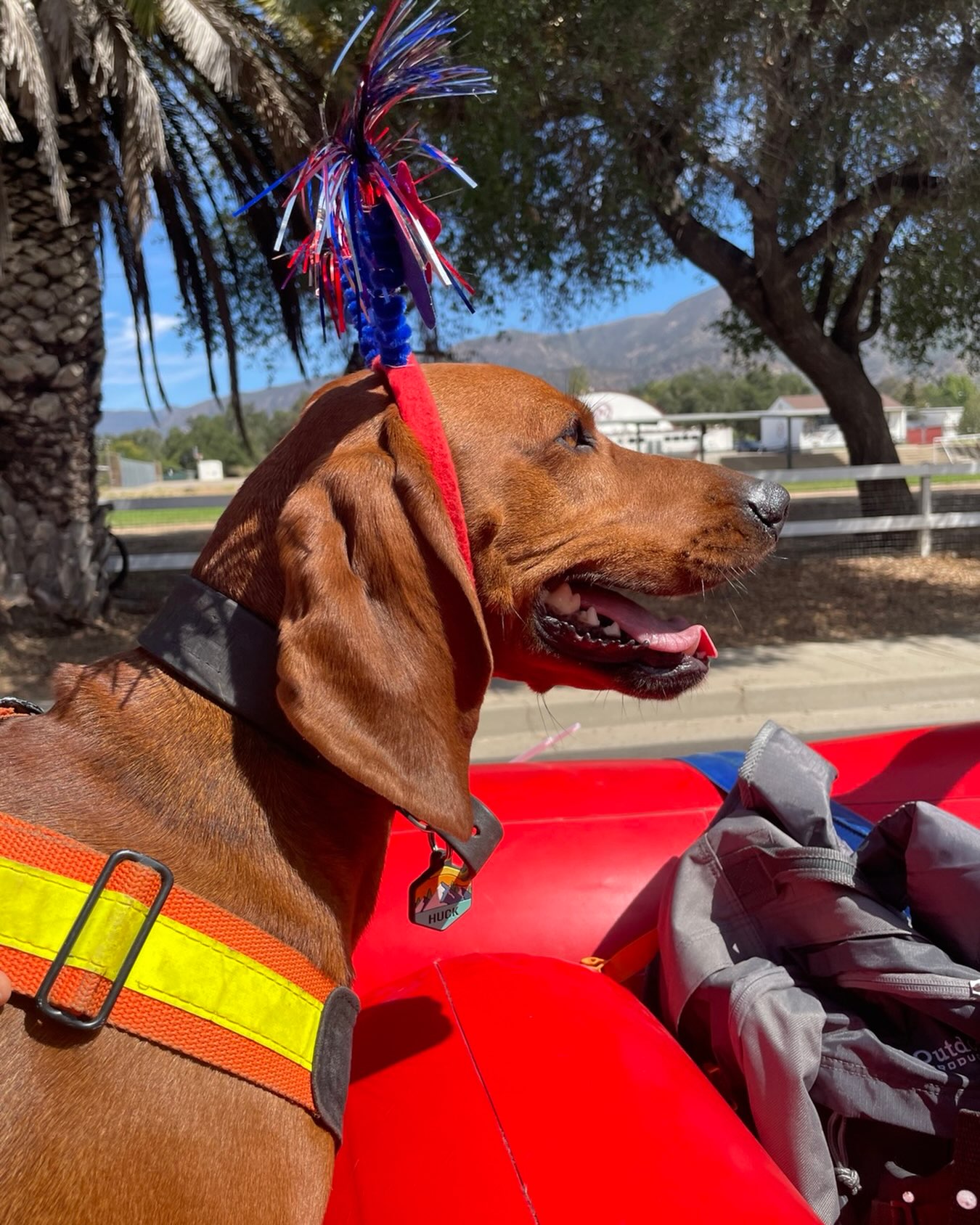 Have a happy and safe 4th of July!