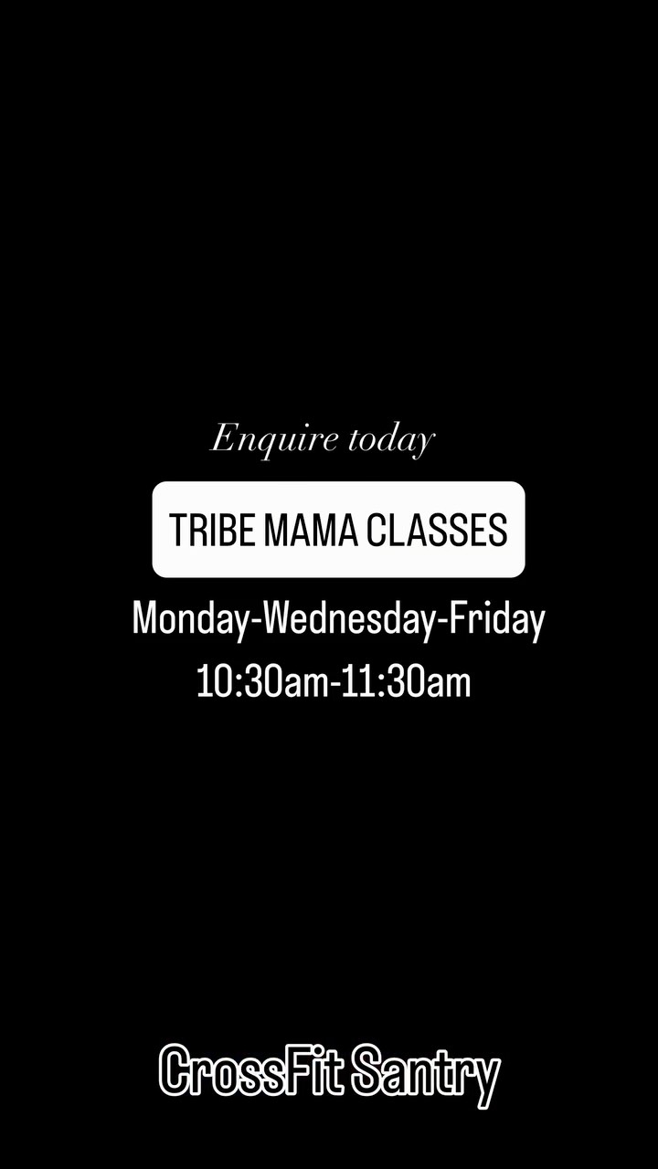 🚨 BIG NEWS, SANTRY 🚨
Our hugely successful Tribe Mama programme is officially coming to CrossFit Santry.
Starting Monday, July 13th, we’ll be running postpartum-specific classes every:
🗓 Monday, Wednesday & Friday
🕥 10:30am
👶 Babies of all ages are welcome to come along, so there’s no need to arrange childcare.
If you’d like to reserve your place on our membership list or join us for our very first class on Monday, send us a message today.
📍 CrossFit Santry
Unit 9C, Santry Hall Industrial Estate, Dublin 9, D09 X63C
#TribeMama #PostpartumFitness #CrossFitSantry #TheTribeGyms