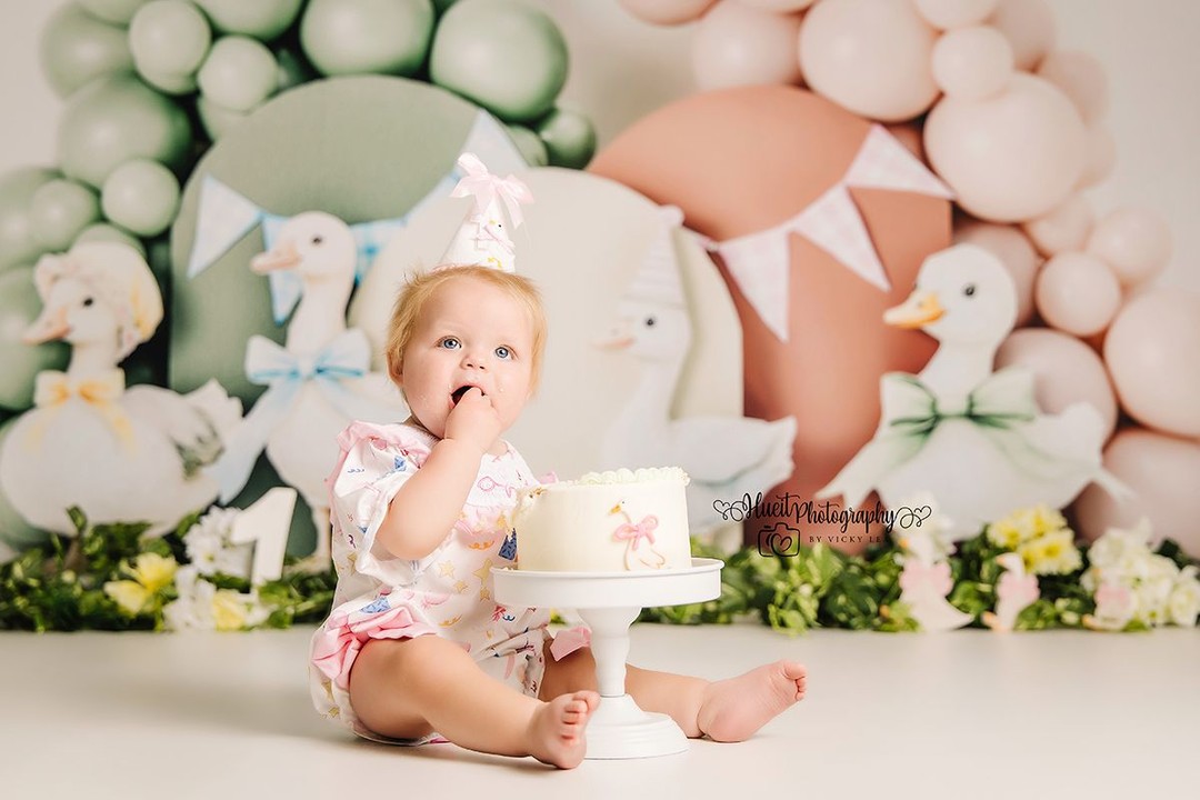 Montana sure knows how to celebrate! 🎂🦢
#HUEitPhotography #CakeSmash #FirstBirthday #SillyGoose
