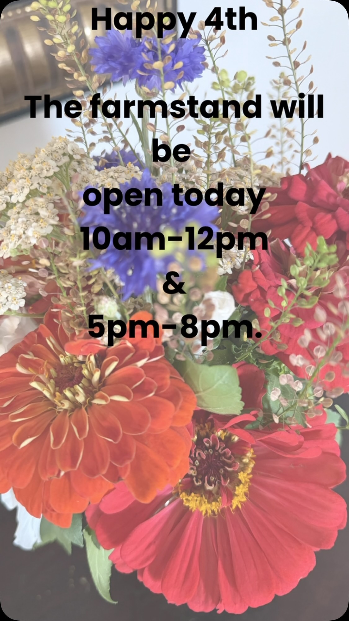 🎇Happy Fourth! 🎇
Stop by the Farmstand today from 10am-12pm
&
5:00–8:00 PM
Bouquets are the perfect hostess gift for your July 4th parties! 🌻
#TheFarmAtRemmingtonsRun #HarrodsburgKY #KYLocal #LocallyGrownFlowers #Farmstand
