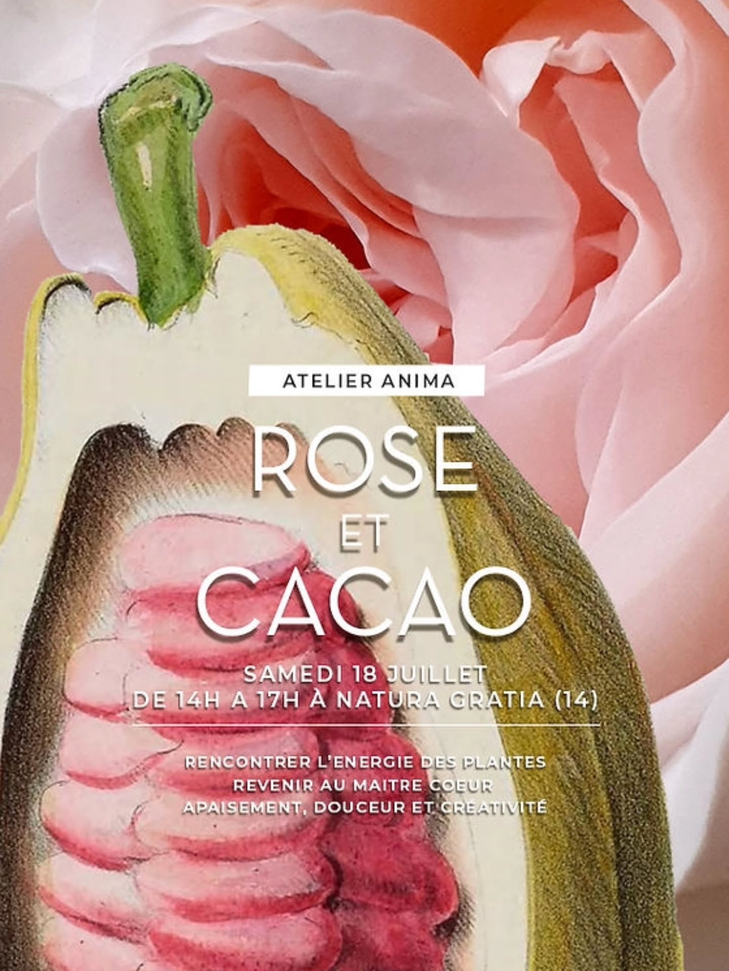 Erratum ! L'atelier a lieu dimanche 19 juillet !
ATELIER ANIMA | Rencontre vibratoire de Cacao Sacré et de Rose
Samedi 18 juillet 2026 de 14h00 à 17h.
à Natura Gratia, Livarot-Pays-d'Auge (14)
Dégustation - reconnexion - guérison vibratoire.
Je vous invite à me retrouver pour un atelier Anima exceptionnel " Rose & Cacao", dans lequel vous rencontrerez la fréquence vibratoire du Cacao sacré, véritable médecine du silence, du cœur, de la bienveillance et de l'estime de soi et celle de la douce et puissante Rose.
Ces deux plantes maitresses, vous soutiendront dans votre volonté d'apaisement, de douceur. Elles favoriseront votre créativité et vous aideront réinventer vision de la vie, en conscience.
De 14h à 17h, nous vivrons ensemble un temps de reliance, de rencontre et de voyage intérieur avec l'énergie du Cacao cérémoniel et des roses de Damas de Natura Gratia.
Leur extraordinaire synergie oeuvre sur la reconnexion au Coeur et à la confiance par l'apaisement, la présence, la douceur et l'estime de soi. Elles favorisent la créativité.
Je vous guiderai dans ce voyage à la découverte de ces deux plantes exceptionnelles et de leur énergie.
7 places - 65 euros par personne.
Rendez-vous sur la boutique subtiles.net pour vivre ce moment de grâce.
(Lien vers l'evenement en bio)
#cacaosacre #chantmedecine #rose #energiedesplantes #medecinevibratoire