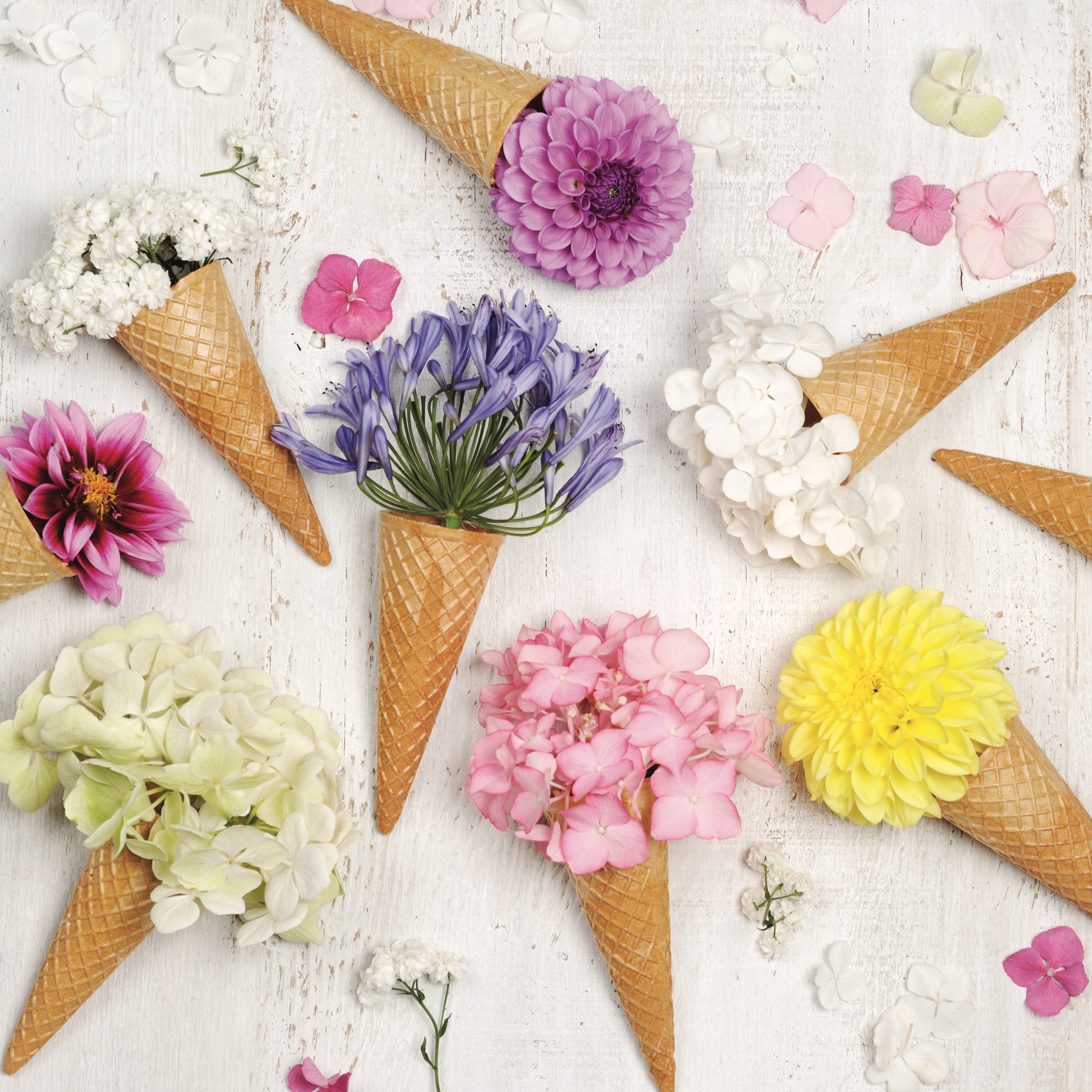 Il nostro mood di oggi 🌸
Good living - good vibes
.
Scarica il nostro magazine dal sito www.goodliving.it