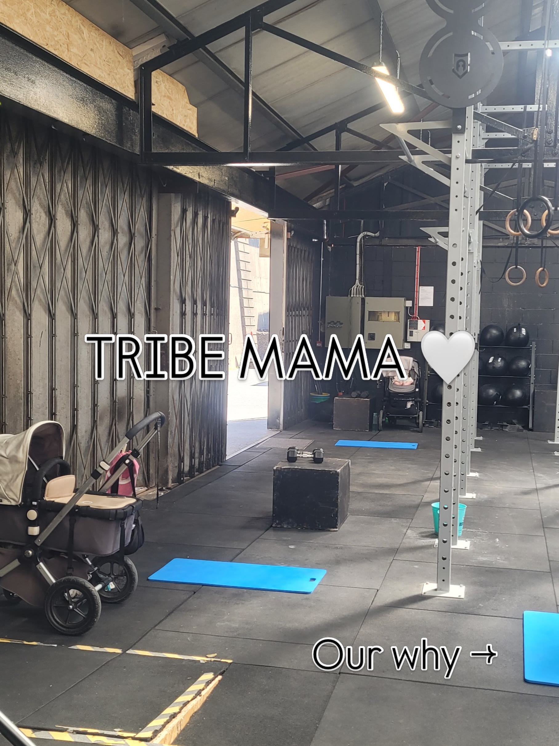 WHY DOES TRIBE MAMA EXIST? 🤍
Because no one else is doing it quite like we are.
Because athleticism shouldn’t end when motherhood begins.
Because every mum deserves to feel strong enough for everything motherhood throws her way.
Because flexibility matters when life revolves around little ones.
Because every mum deserves a community she can lean on.
And most importantly…
Because we genuinely care.
Tribe Mama has always been more than a fitness class to us. It’s a programme built from the heart, designed to help mums move well, grow stronger and feel supported every step of the way.
Next Monday, we’re incredibly excited to launch our very first Tribe Mama classes in CrossFit Santry! 🎉
📍 CrossFit Santry
Unit 9C, Santry Hall Industrial Estate, Dublin 9, D09 X63C
🗓️ Monday, Wednesday & Friday
🕥 10:30am
📍 CrossFit Drumcondra
3A Saint George’s Avenue, Drumcondra, Dublin 3, D03 RH36
🗓️ Monday, Tuesday, Wednesday & Friday
🕥 10:30am
🗓️ Saturday
🕤 9:30am & 10:30am (our regular CrossFit class can be adapted for Tribe Mama athletes)
If you’d like to become part of our Tribe Mama community, reach out today to reserve your spot. We’d love to welcome you and your little one. 🥹💪
#TribeMama #CrossFitSantry #CrossFitDrumcondra #PostpartumFitness #StrongMama