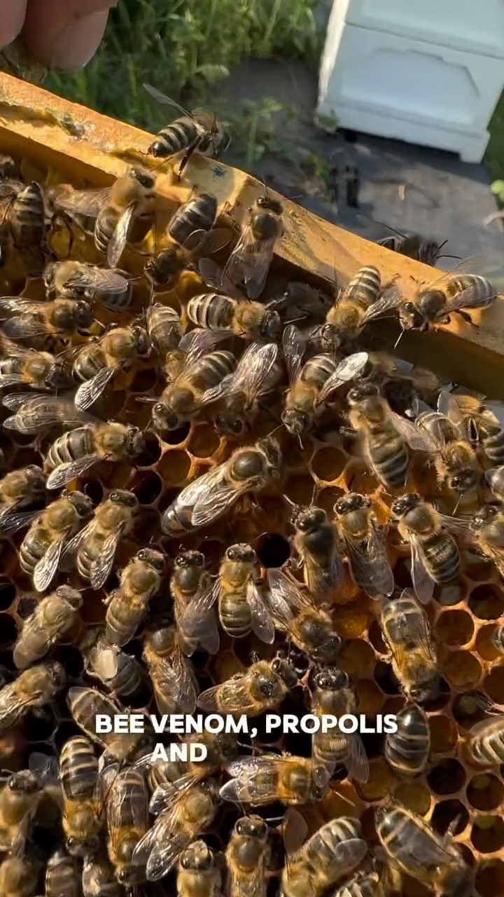 Honey Harvest- from our bees to you🐝❤️
.
.
.
.
#beefarm #fromfarmtotable #honeyfarm #intro #beekeepinginireland