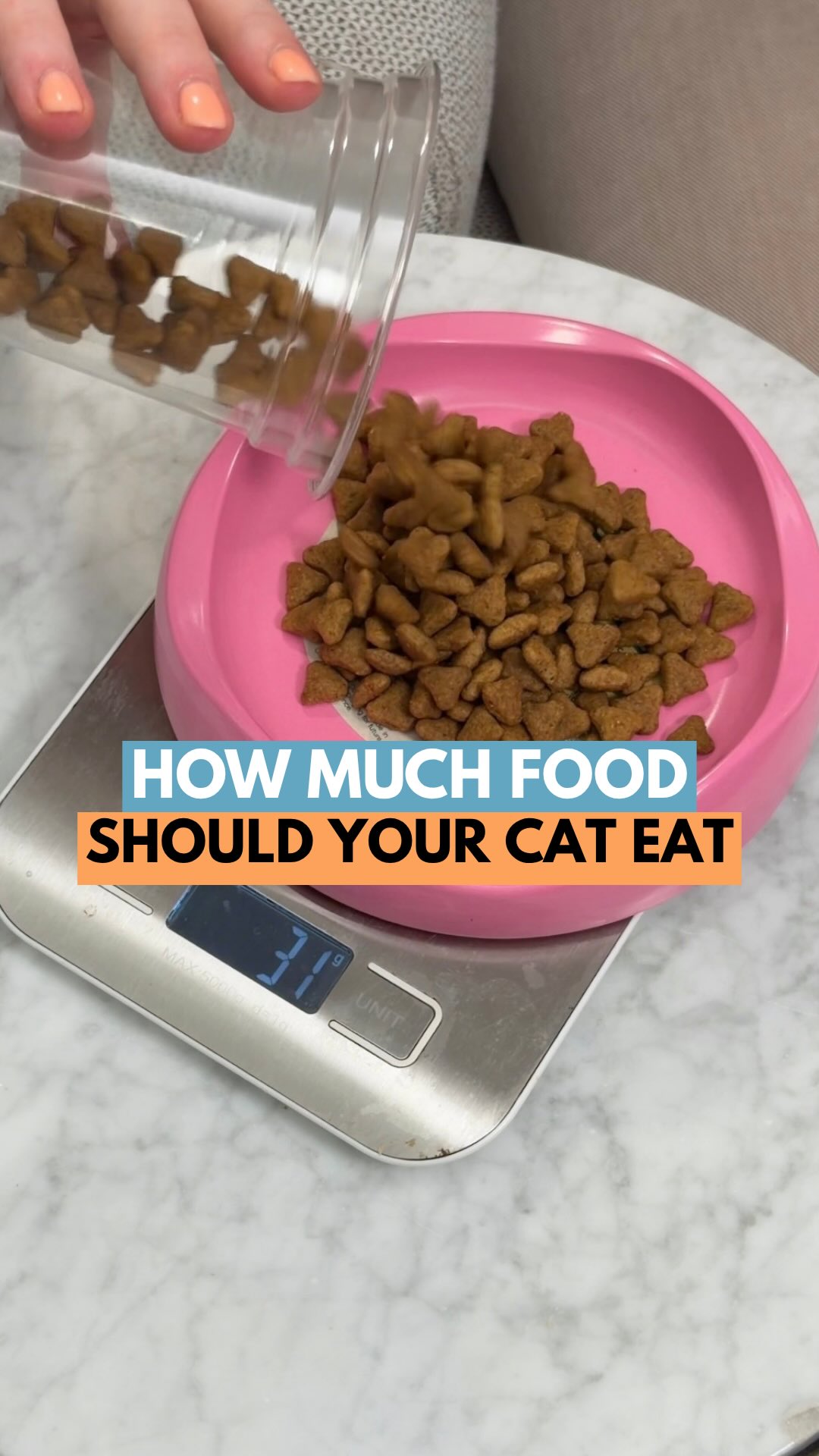 Cats should eat less than most people think! Overfeeding is one of the biggest reasons cats become overweight.
Free feeding can make it easy for cats to overeat. So measure your cat’s meals to help them maintain a healthy weight and make it easier to spot changes in appetite.
Every cat is different, so always check the back of your cat’s food bag or ask your vet what the right daily portion is for your cat.
@mikesvetdxb
#cathealth #catlife #catvideo #vetmed #vetclinic