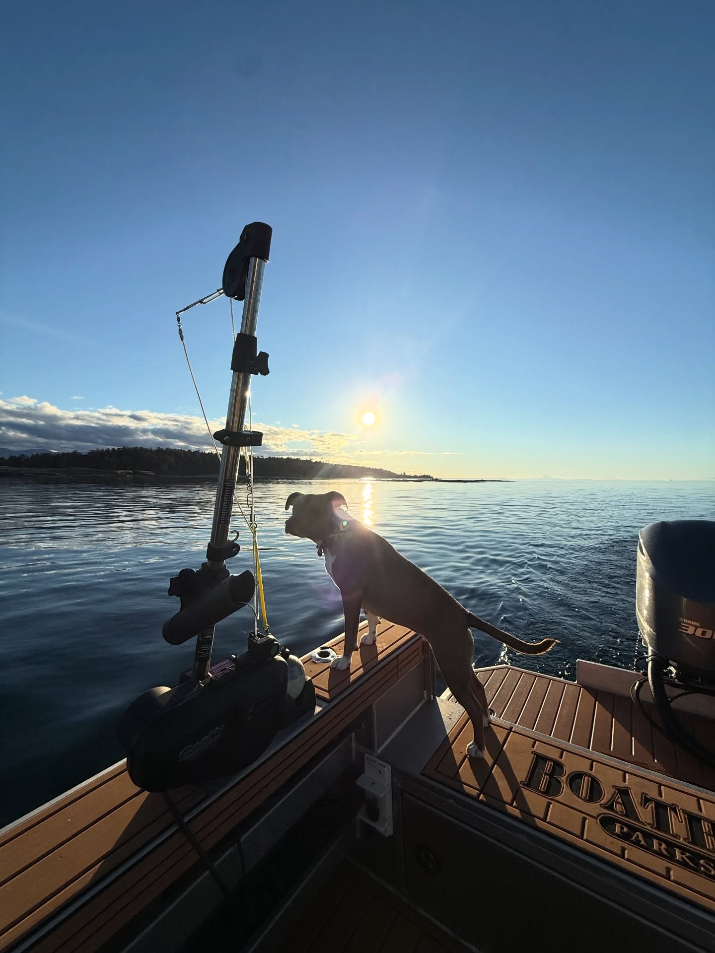 Back to back weekend adventures on Hornby Island, lucky ducks! Biking in the day, dancing at night @markwoodyard , camping under the stars, delicious Caesars at Forage, all with a really special crew of humans. Play, movement, nature, laughter… medicine for the soul. Thank you friends 🙏🤍