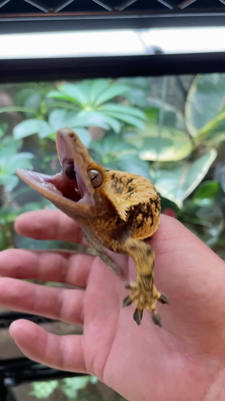 Friendly guy