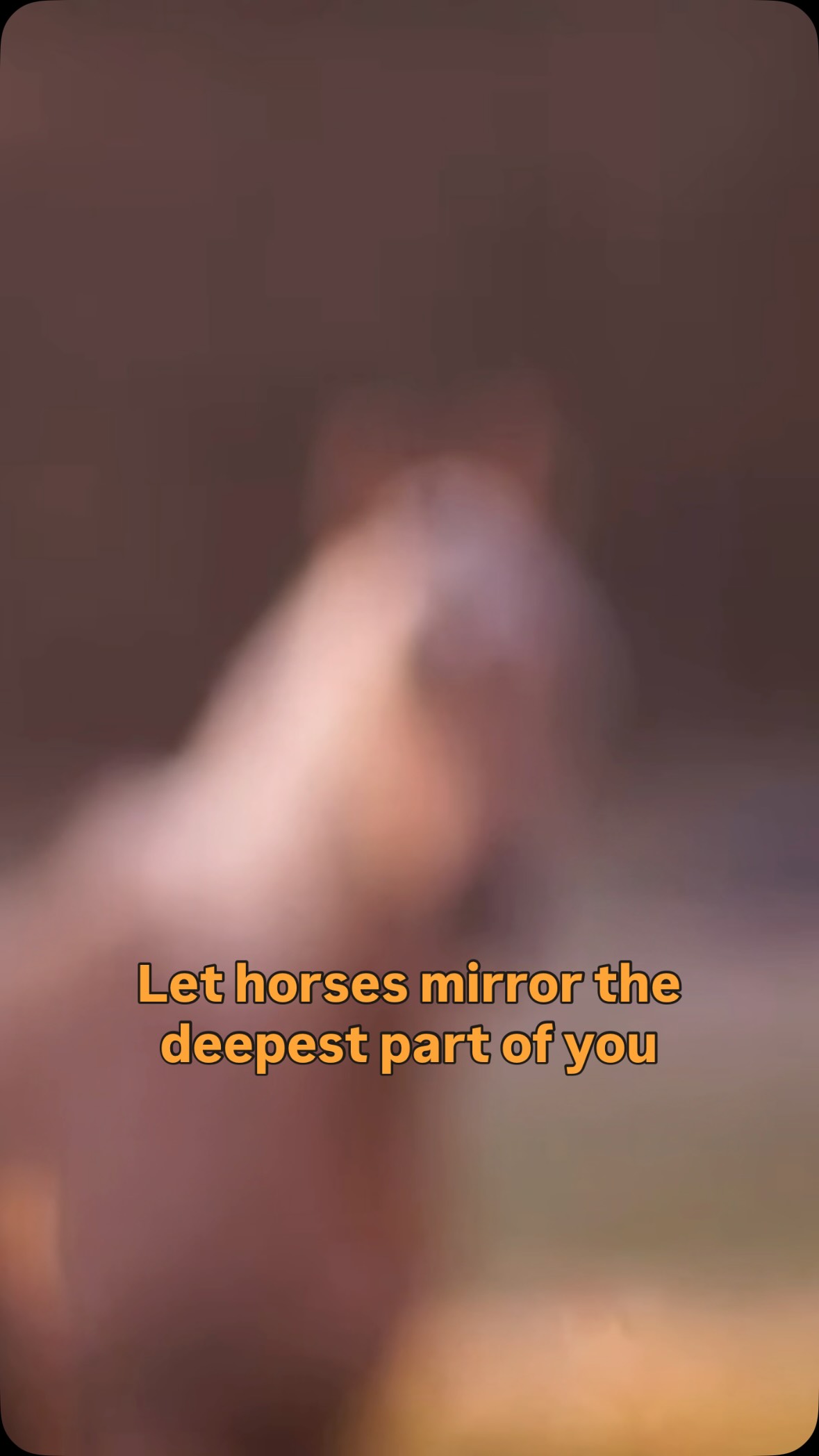 Horses mirror the deepest part of you and help you remember who you are. Send this to someone who deserves a small reminder today โค๏ธโจ
#horses #horselovers #healingwithhorses #equinetherapy