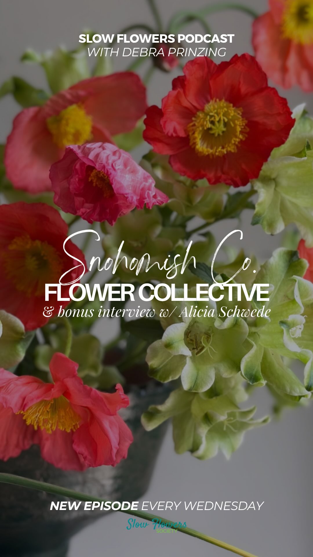 Enjoy TWO exciting conversations with @snocofloco leadership team’s Tracy Sundby and Beth Kendall, and a bonus chat with Alicia Schwede of @flirtyfleurs! 💐
Take a peek at what is to come: The Snohomish County Flower Collective is a regional wholesale floral hub founded in 2023 to bring together nearly 40 growers under one roof. Frequently called the Sno-Co-Flo-Co, the group is based in the historic town of Snohomish, about 35 miles north of Seattle, and most of their members have farms in Snohomish and nearby counties. Their home base is at Fleurs Creative, a floral design studio owned by Alicia Schwede, a longtime Slow Flowers member, floral educator, and advocate for seasonal design. Having a centralized location is a win-win for both Alicia and the farmers. As a community that serves both florists and the general public with high quality, fresh, and local flowers, SnoCo Flower Collective is changing the face of agriculture in an already vibrant farming region. Most of the flower farms are women-owned and their commitment to elevating local flowers and supporting one another is a valuable model. Join me in a conversation with the leadership team’s Tracy Sundby and Beth Kendall, and a bonus chat with Alicia Schwede.
Listen or watch NOW on Apple Podcasts, Spotify, YouTube, or wherever you get your podcasts 🎙️💐✨
#slowflowerssociety #slowflowers #slowflowerspodcast #slowflowersmovement #sustainablefloristry