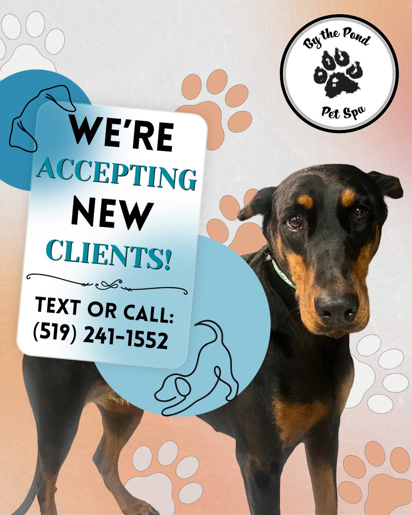 Beat the heat this scorching summer with a groom for your most furry friend! ☀️⚪️
We’re always accepting new clients, text or call us to book: (519) 241-1552
#doggrooming #doggroom #dogsofinstagram #bythepondpetspa #dogsofinsta