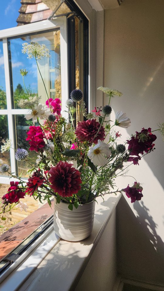 Red & white bouquet for England? Challenge accepted.
#itscominghome #theuntamedgarden #worldcup2026 #england #worldcup2026🏴