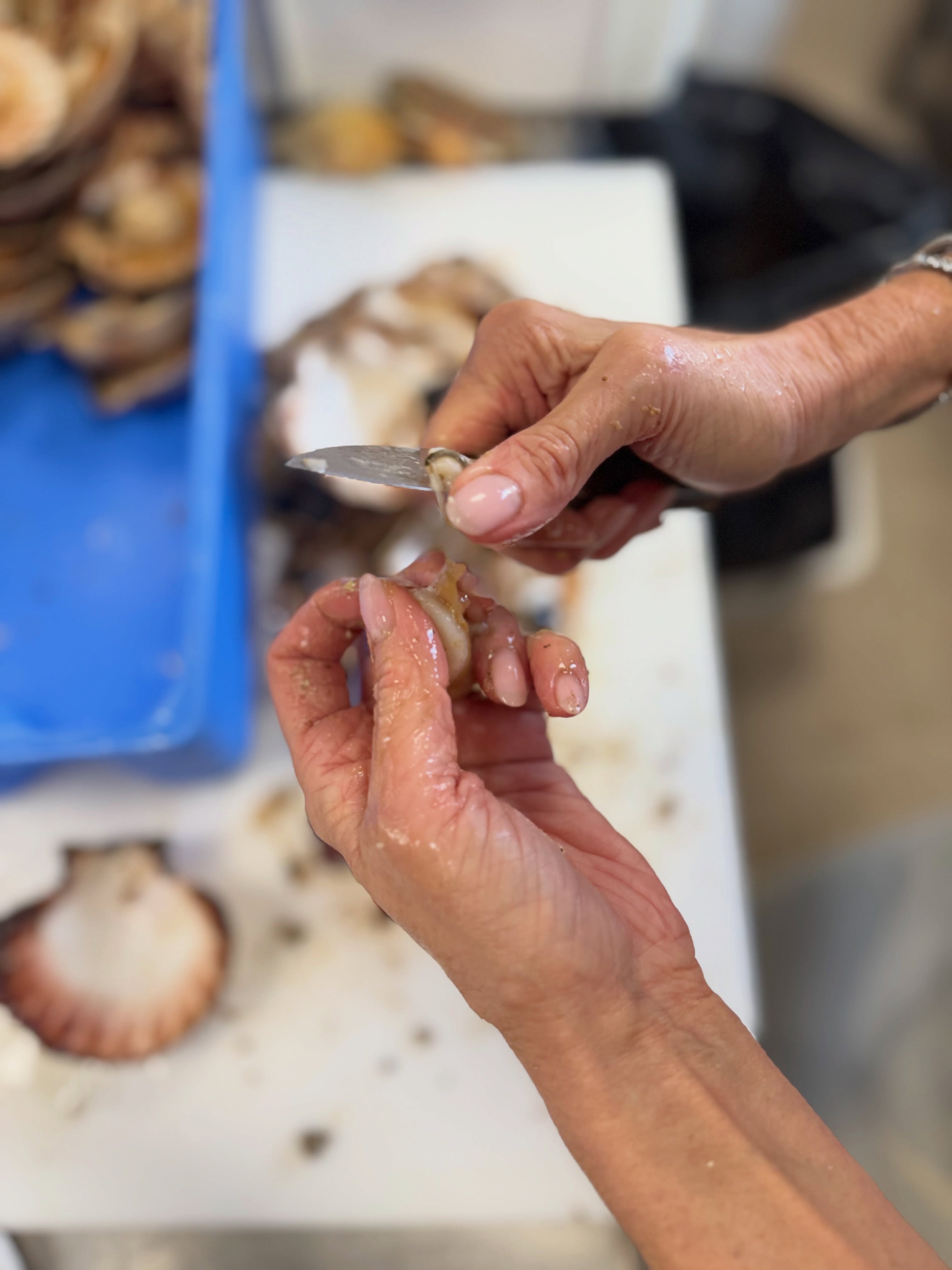 Marine et Pascale ont préparé de quoi vous faire saliver si vous êtes amateur/trice de Saint Jacques… 🥰😍
Les noix sont belles, savoureuses et il n’y en aura pas pour tout le monde… 😅
À tout de suite !!!